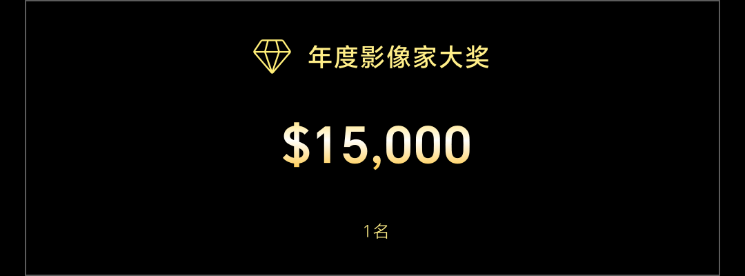 奖项设置_年度影像家大奖