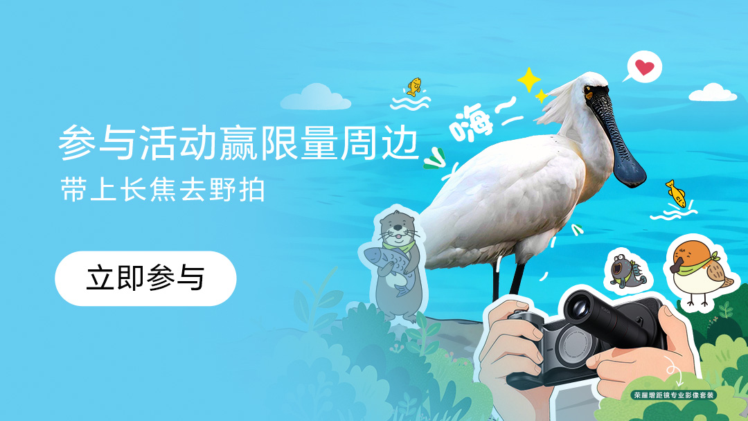 【线下有奖活动】带上长焦去野拍-到场皆有礼,荣耀Magic8系列-荣耀俱乐部