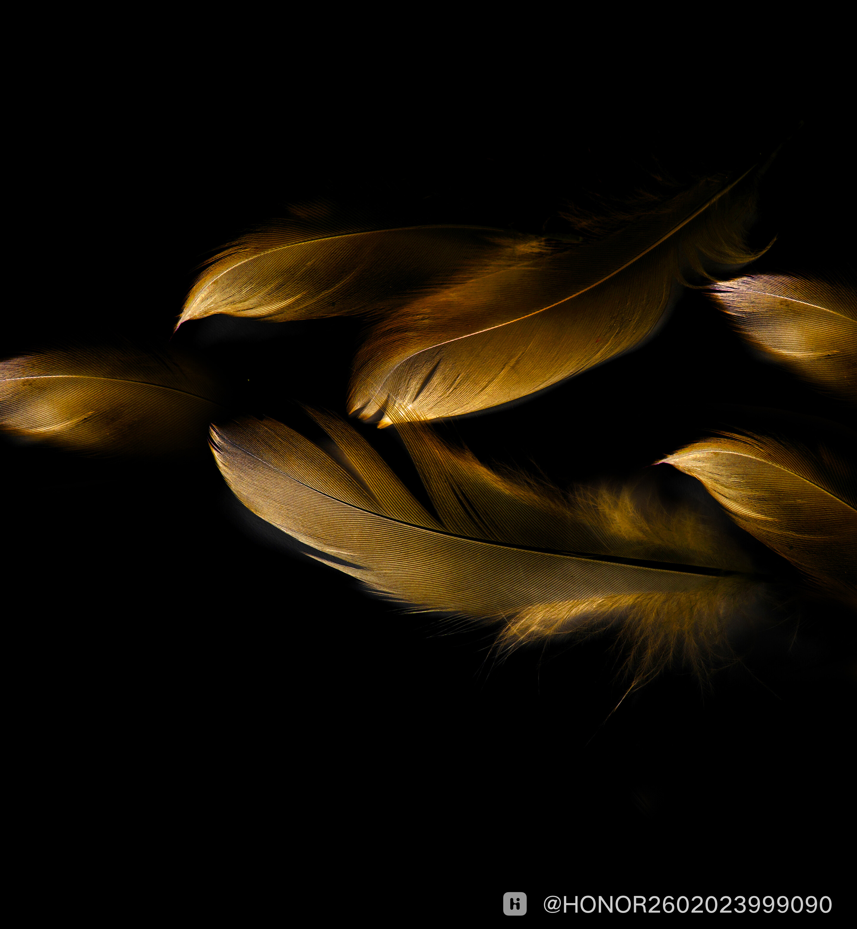 home_wallpaper_1.jpg