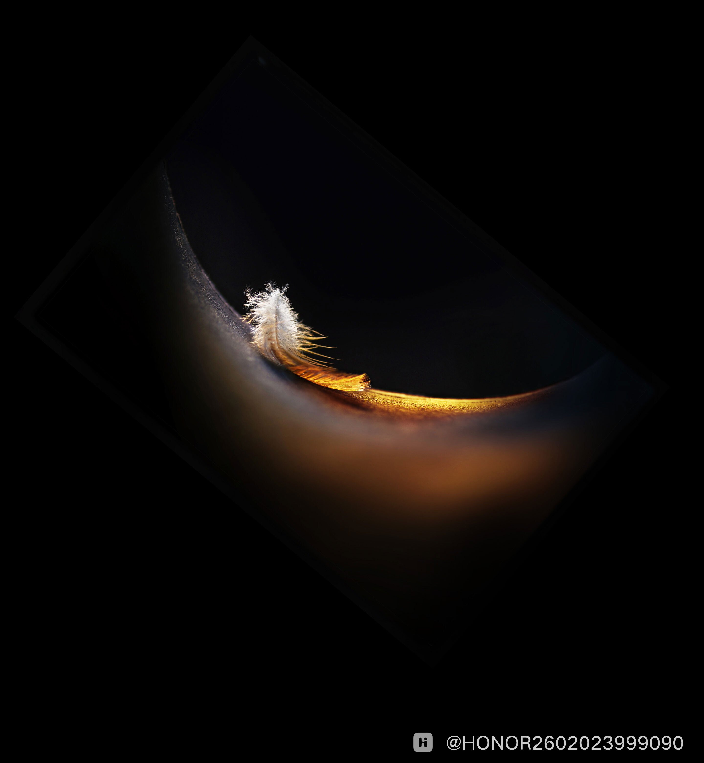home_wallpaper_0.jpg