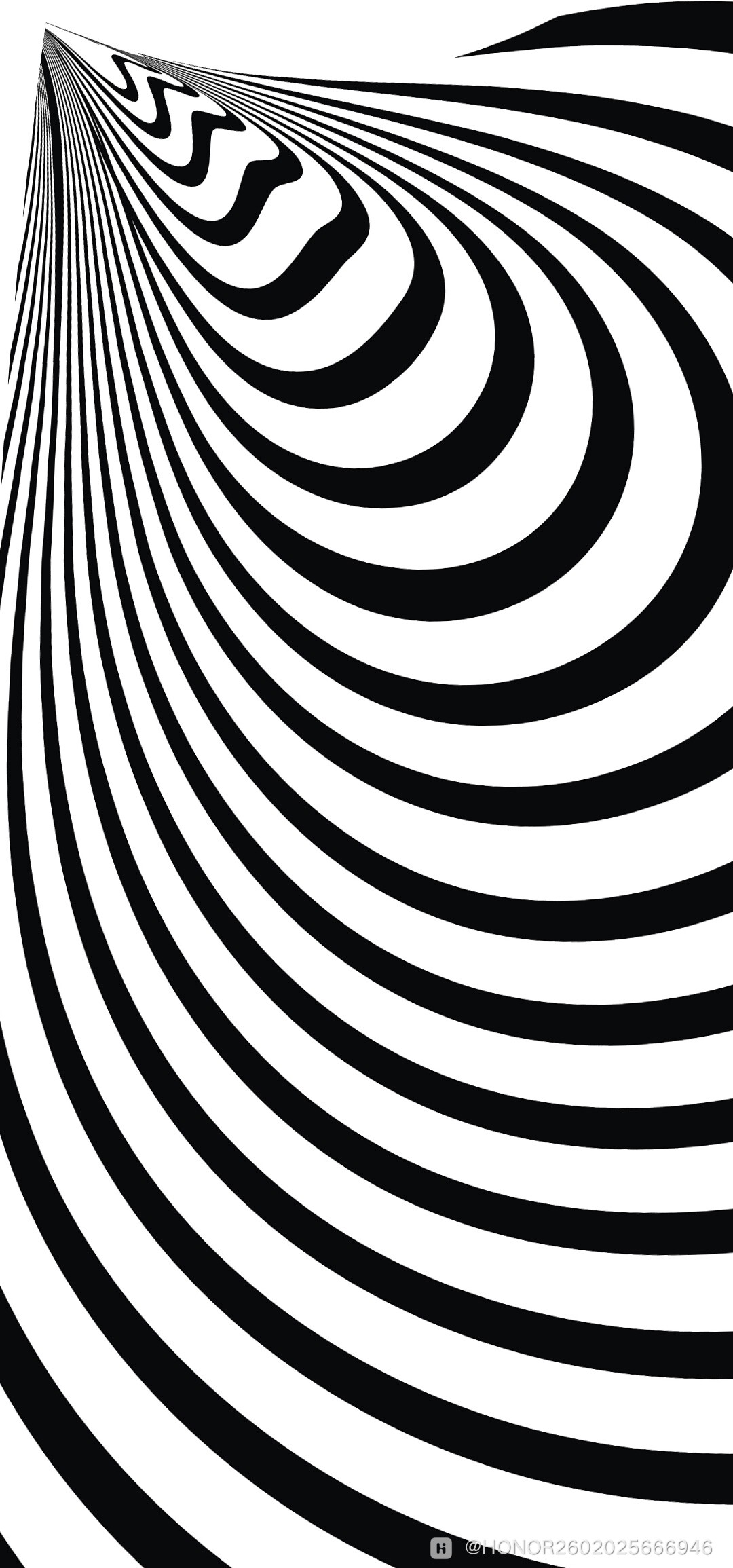 img-ab03d2325f1f0c3cdc4a56c67b1fd710.jpg