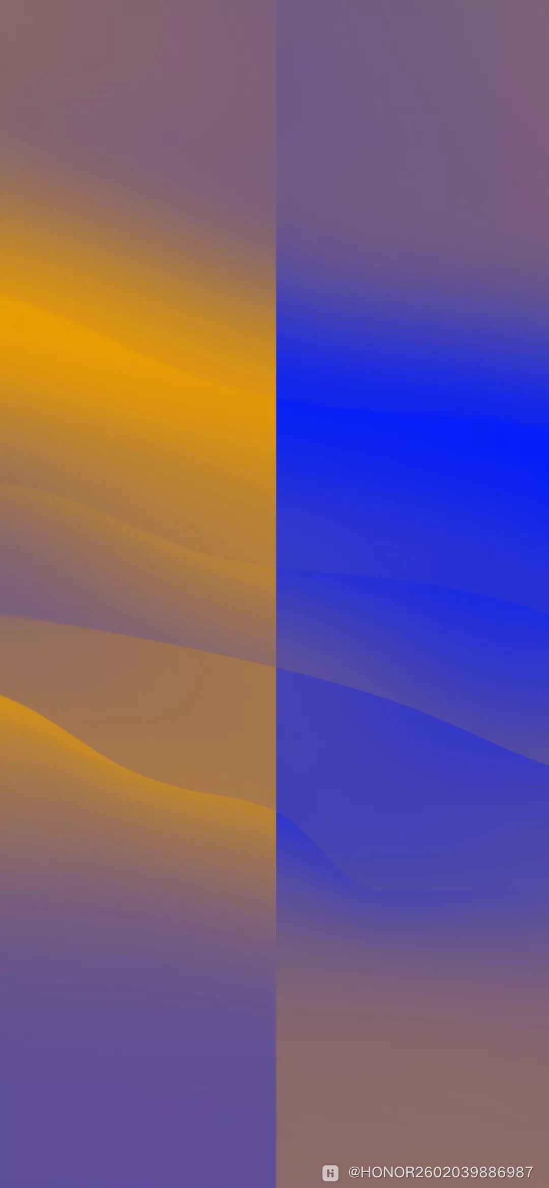 mmexport1601197908893.jpg