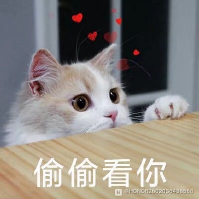 jike_15042725228953_pic.jpeg