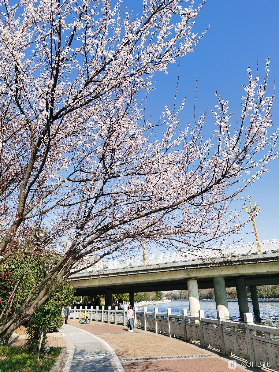 IMG_20210219_100216.jpg