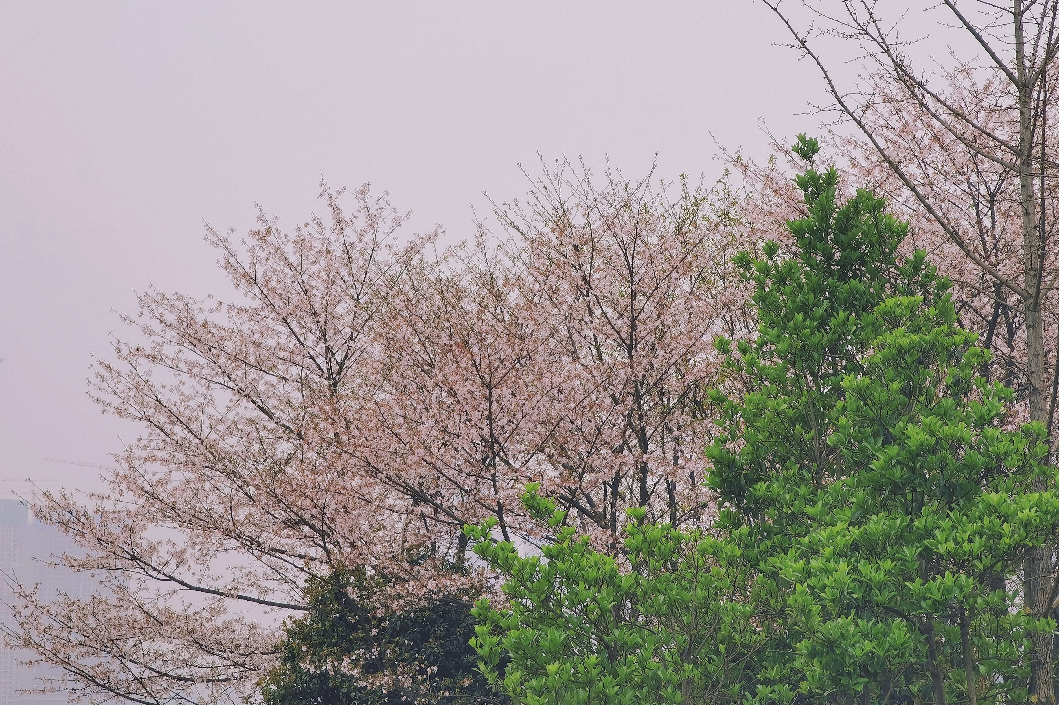 retouch_2021050614295994.jpg