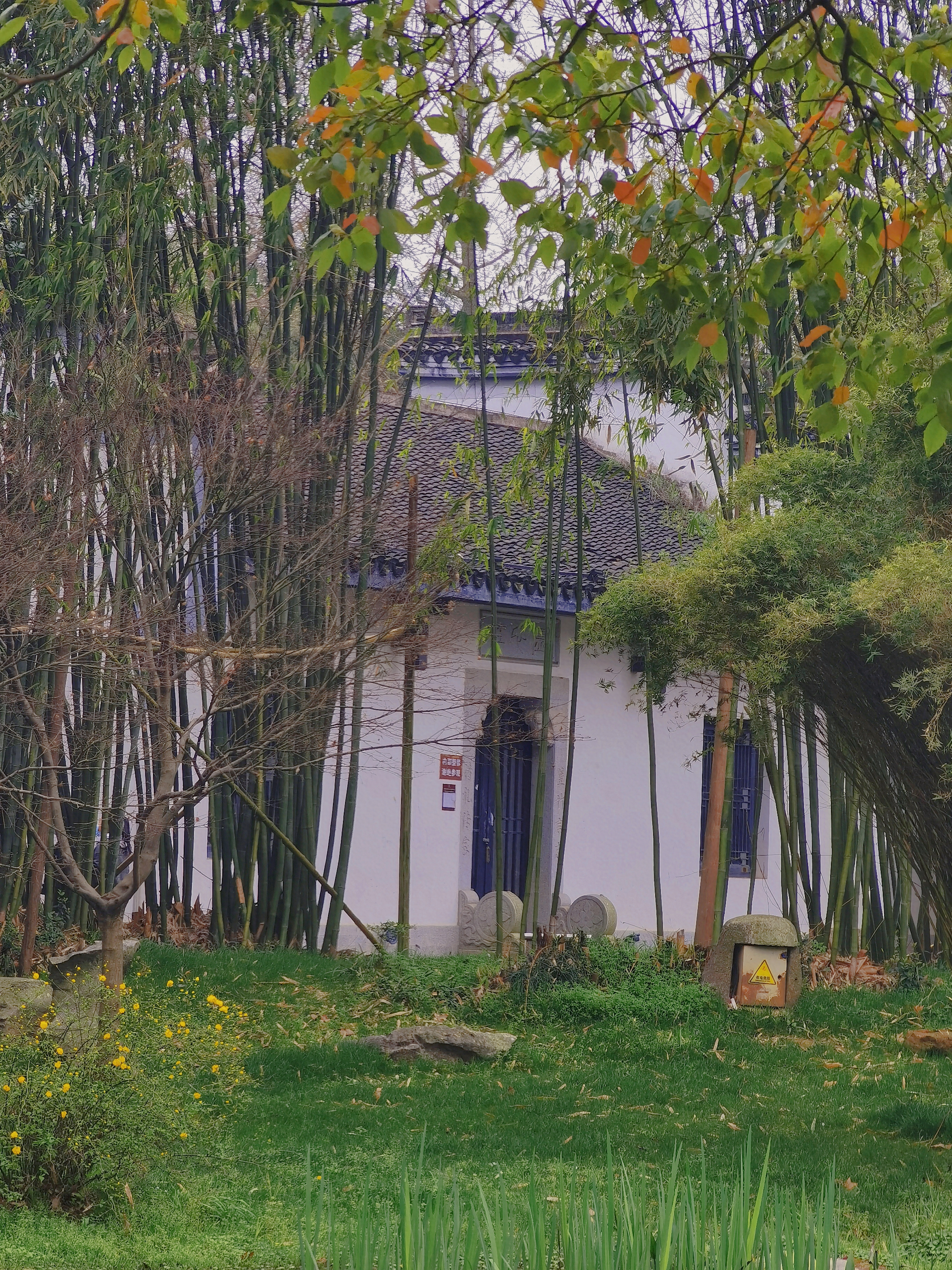 retouch_20210416211539.jpg