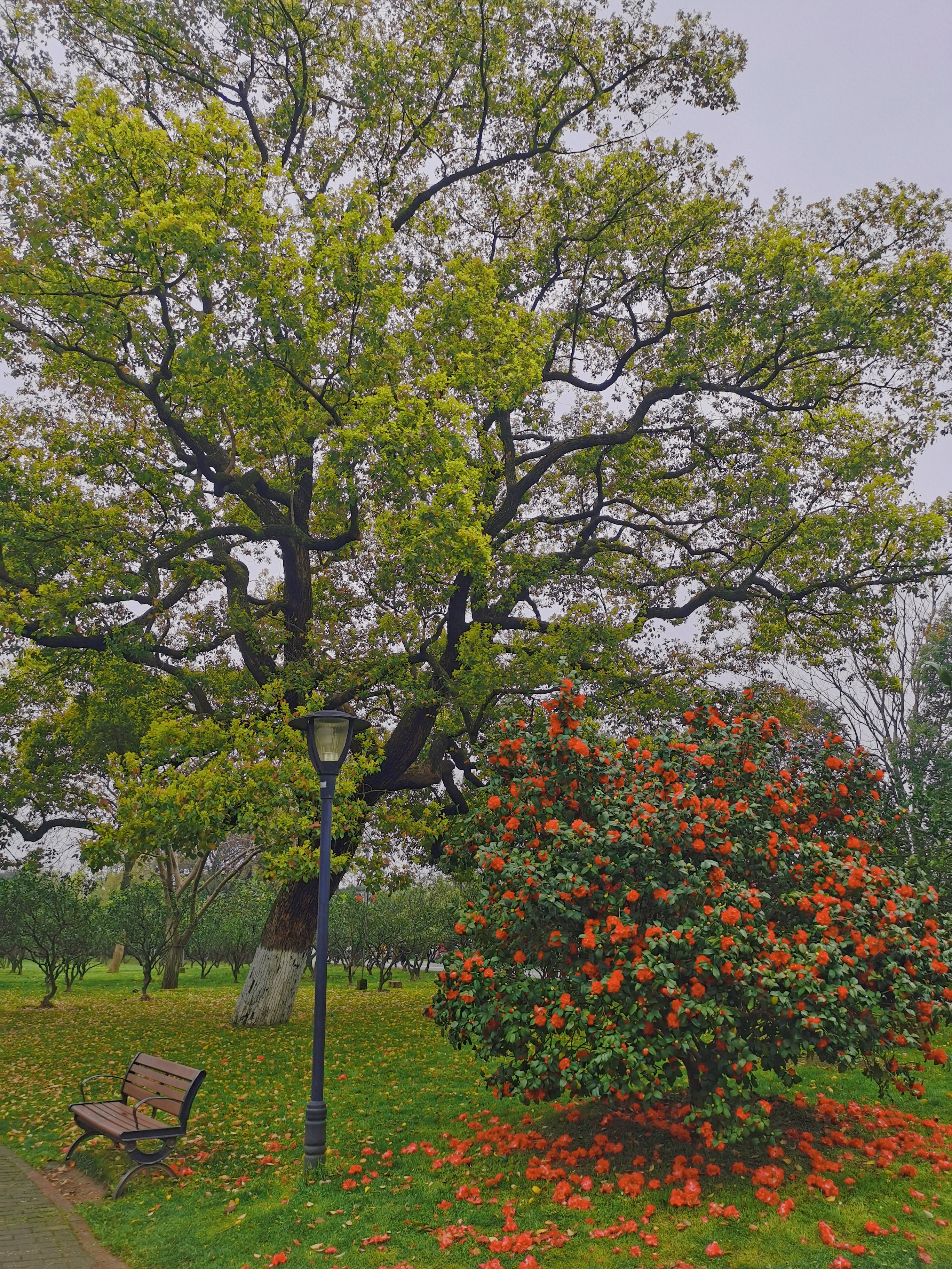 retouch_20210416210843.jpg