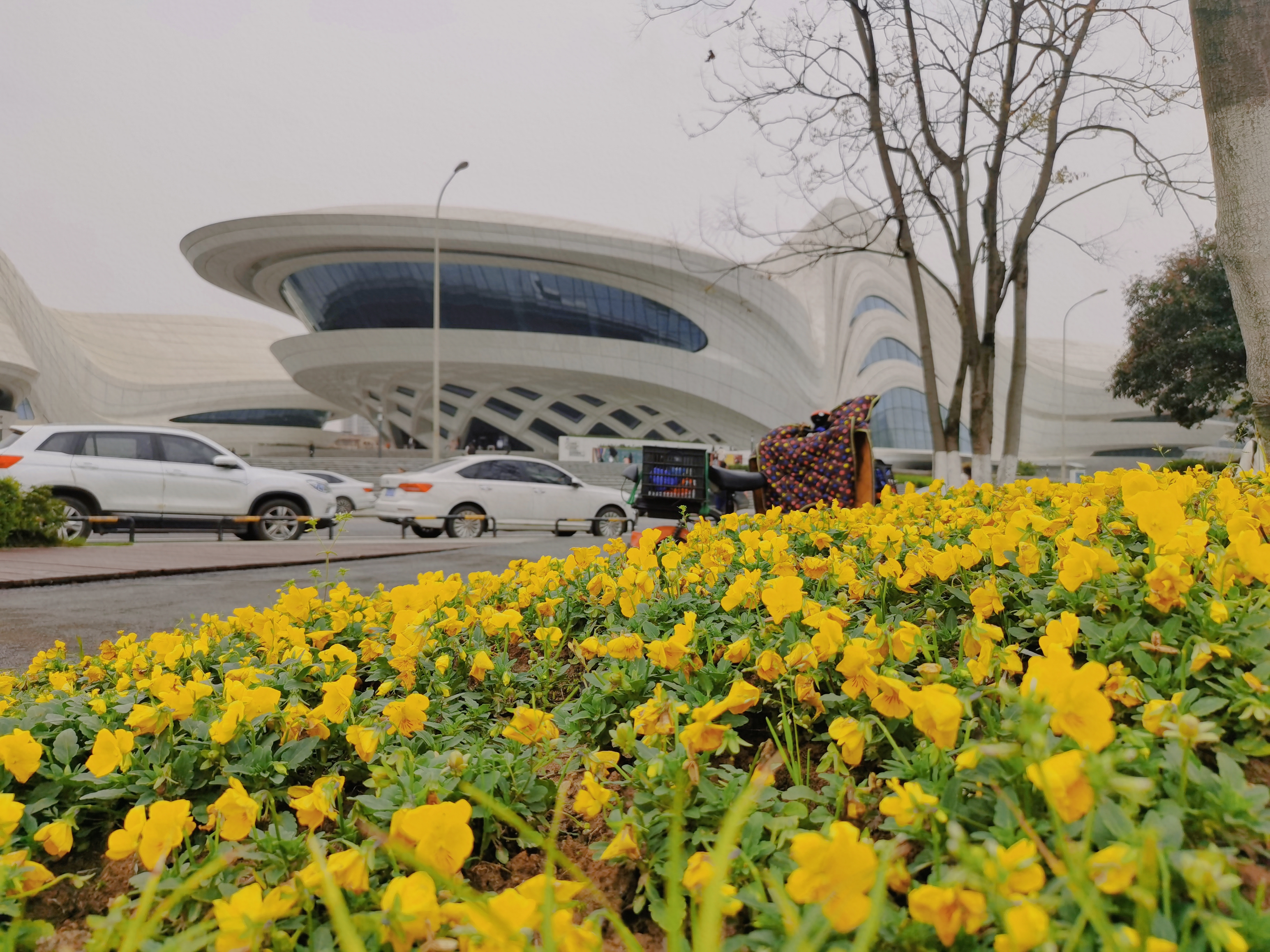 retouch_20210416205910.jpg