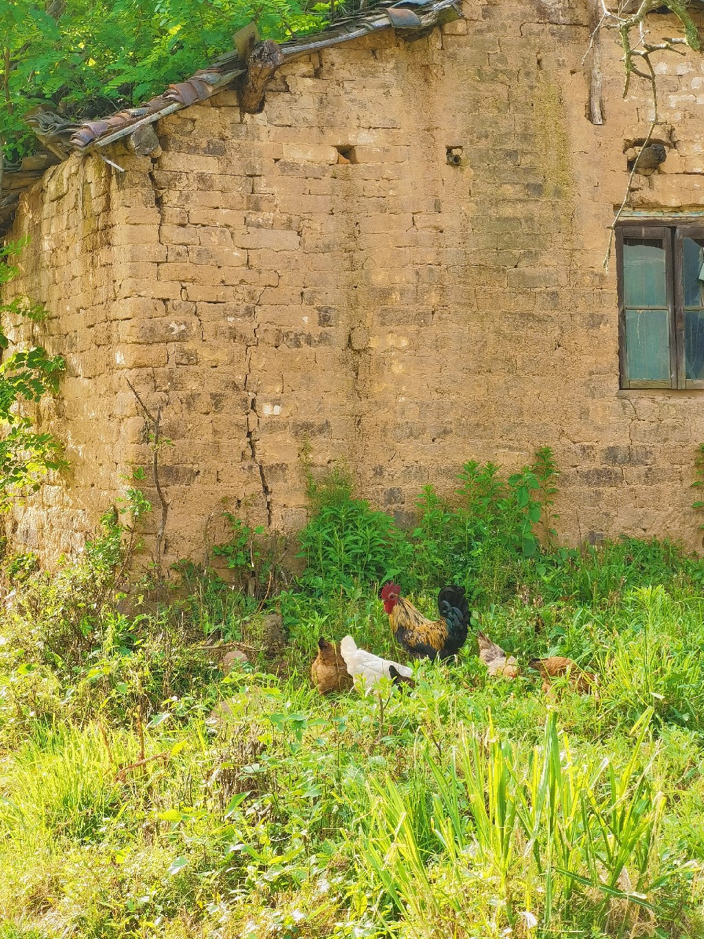 retouch_2021050523062224.jpg