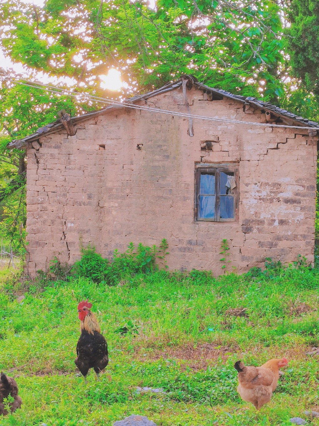 retouch_2021050523081570.jpg
