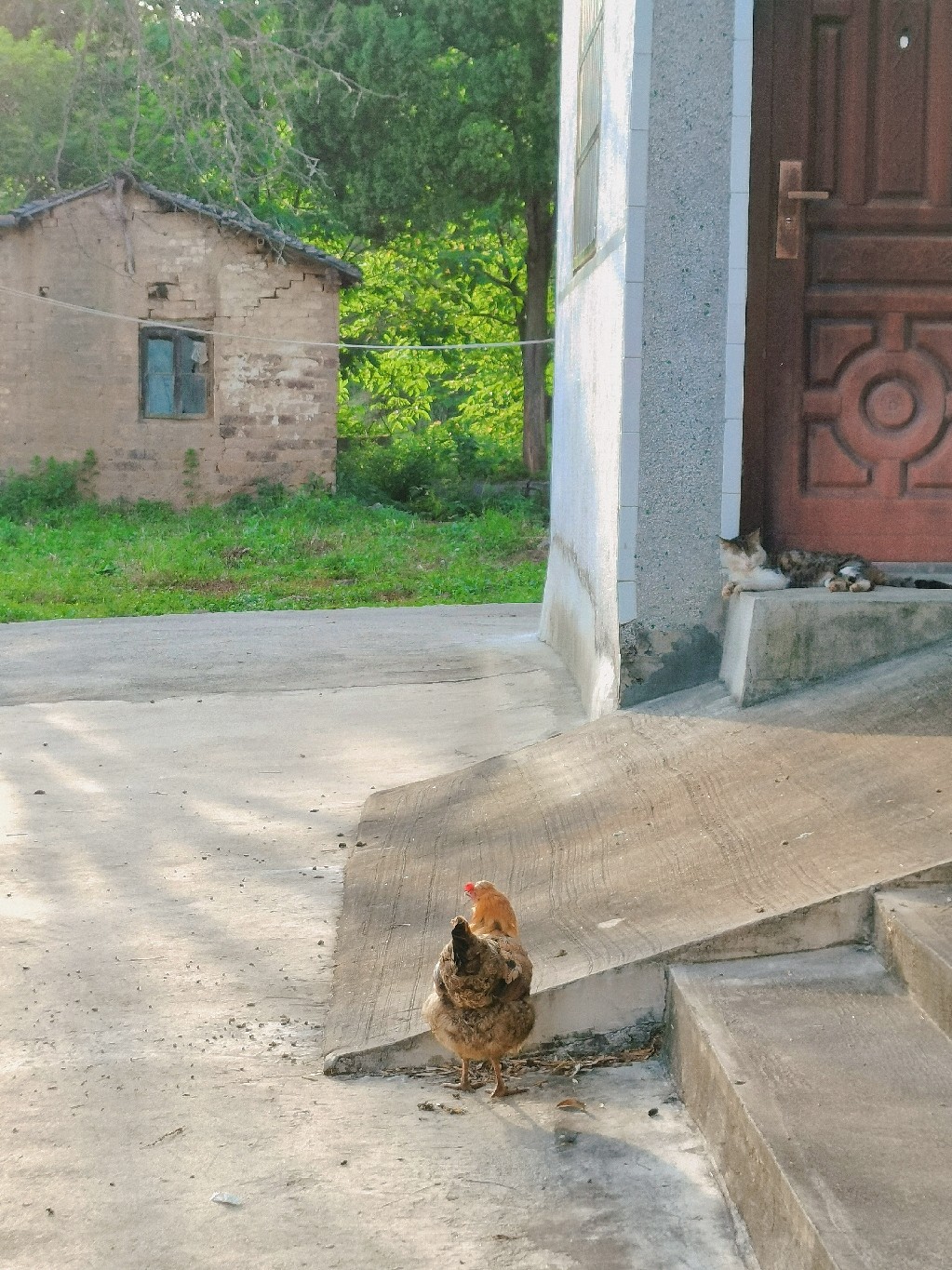 retouch_2021050523150395.jpg