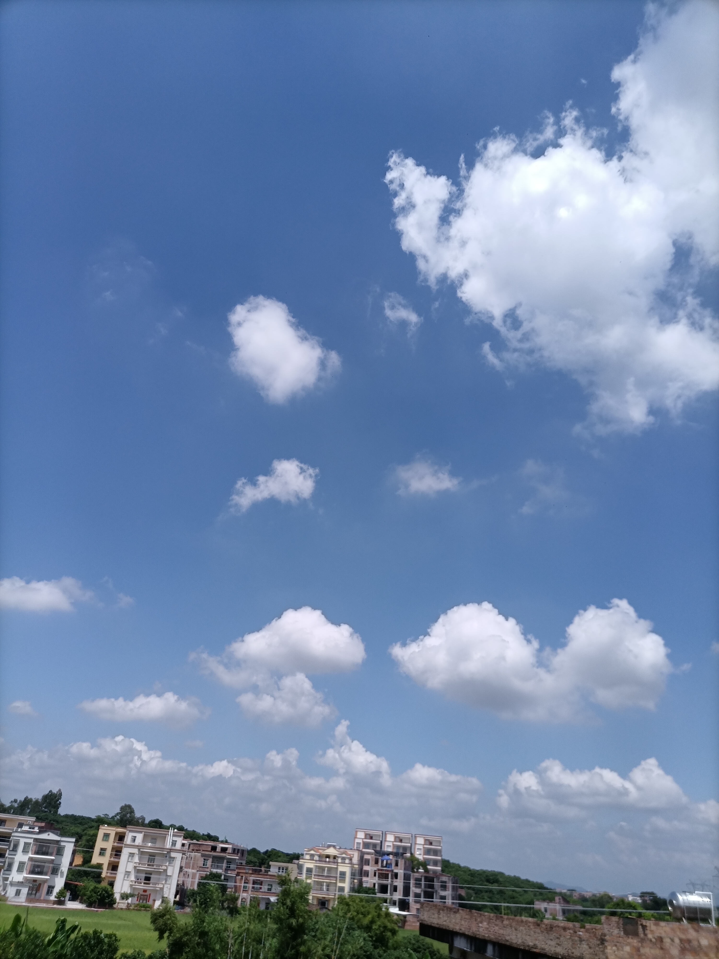 IMG_20201004_124350.jpg