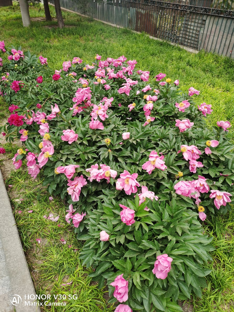 IMG_20210506_181246.jpg