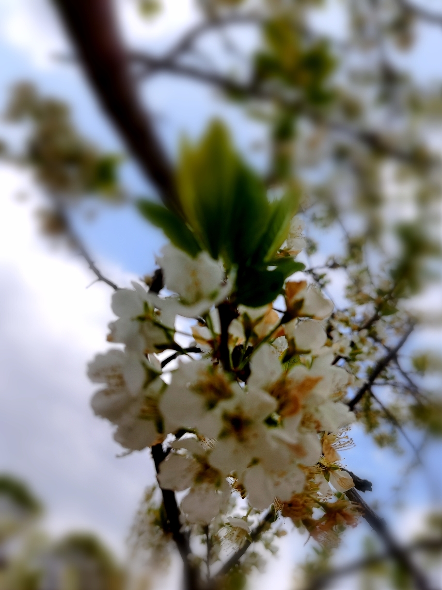 IMG_20210414_140132.jpg