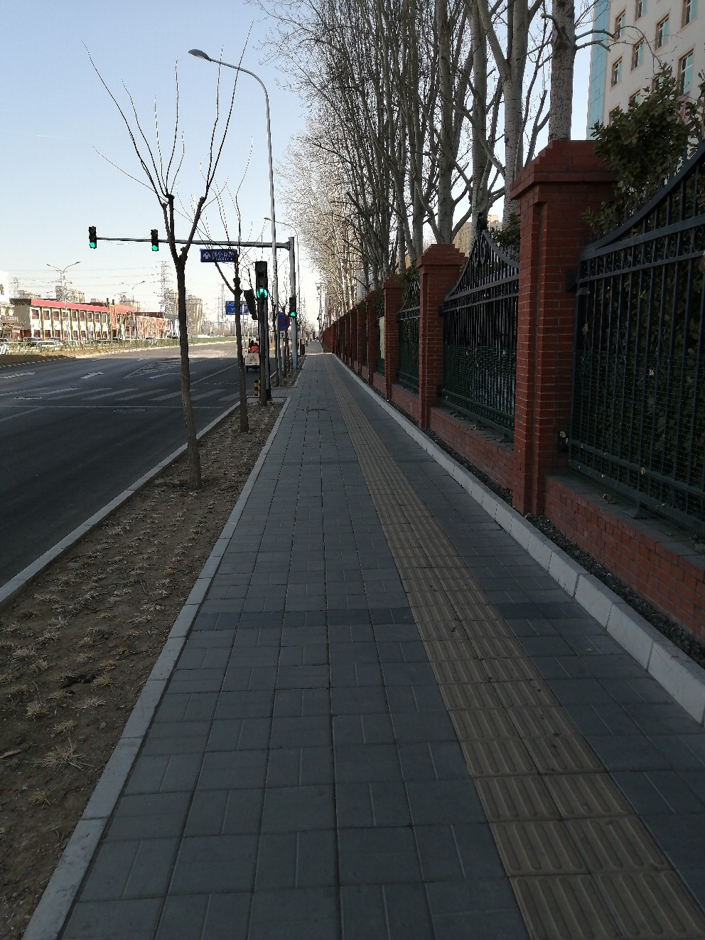 IMG_20210207_111549.jpg