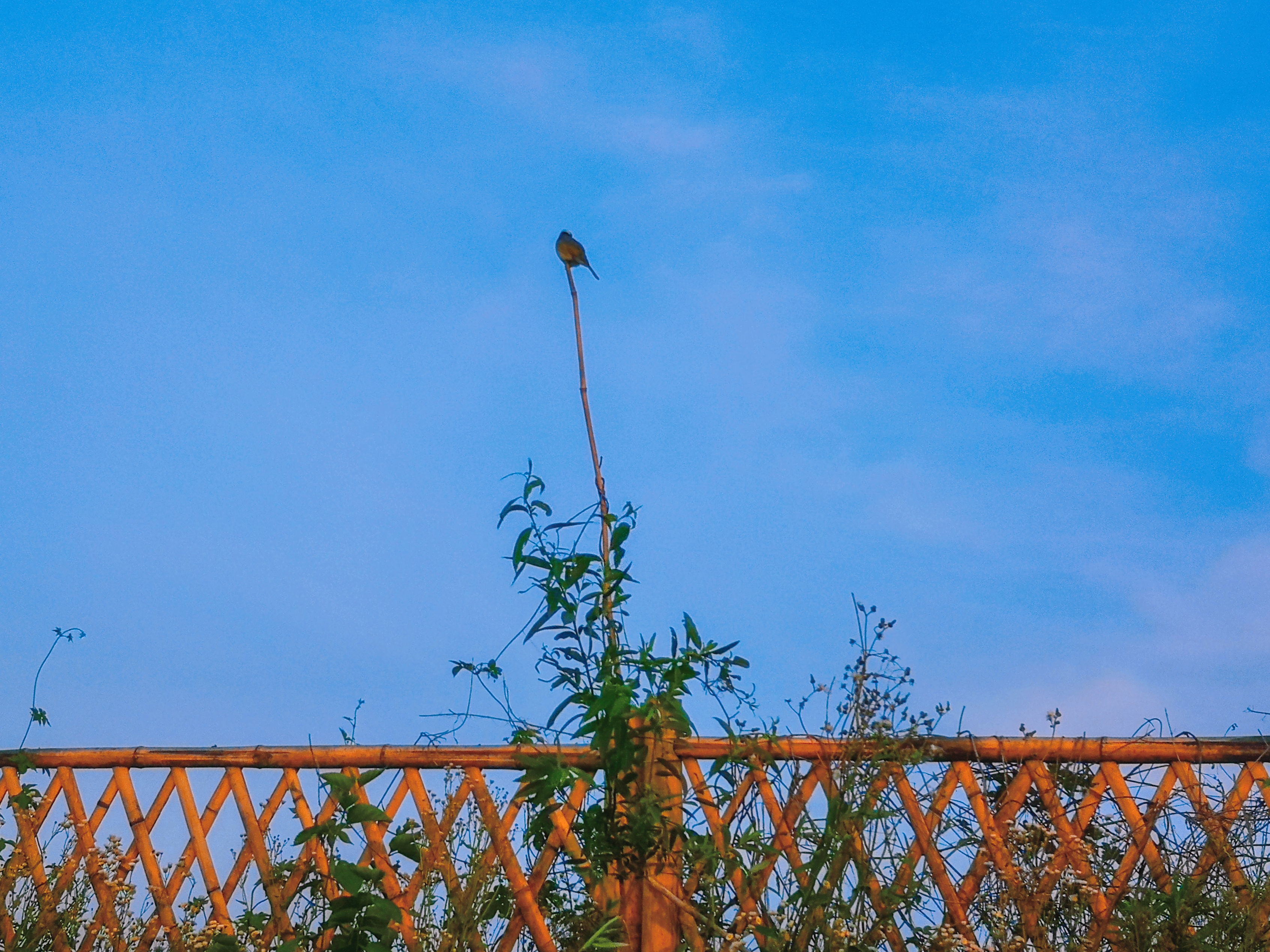 retouch_2021050718304786.jpg