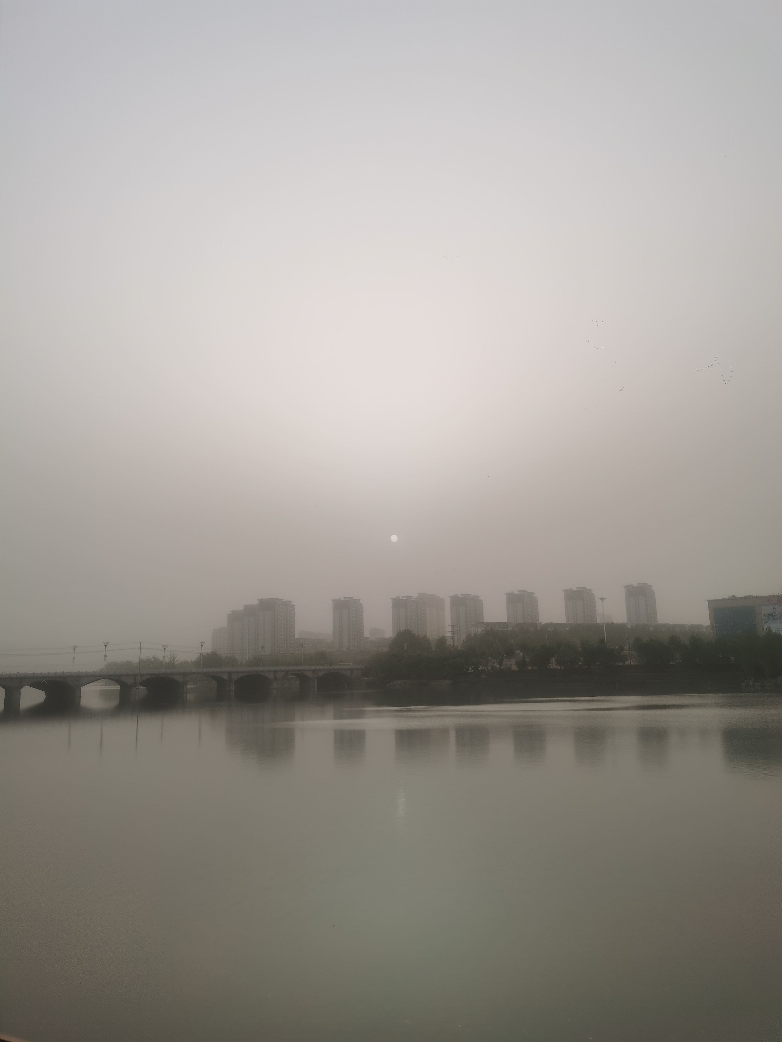 IMG_20210507_060229.jpg