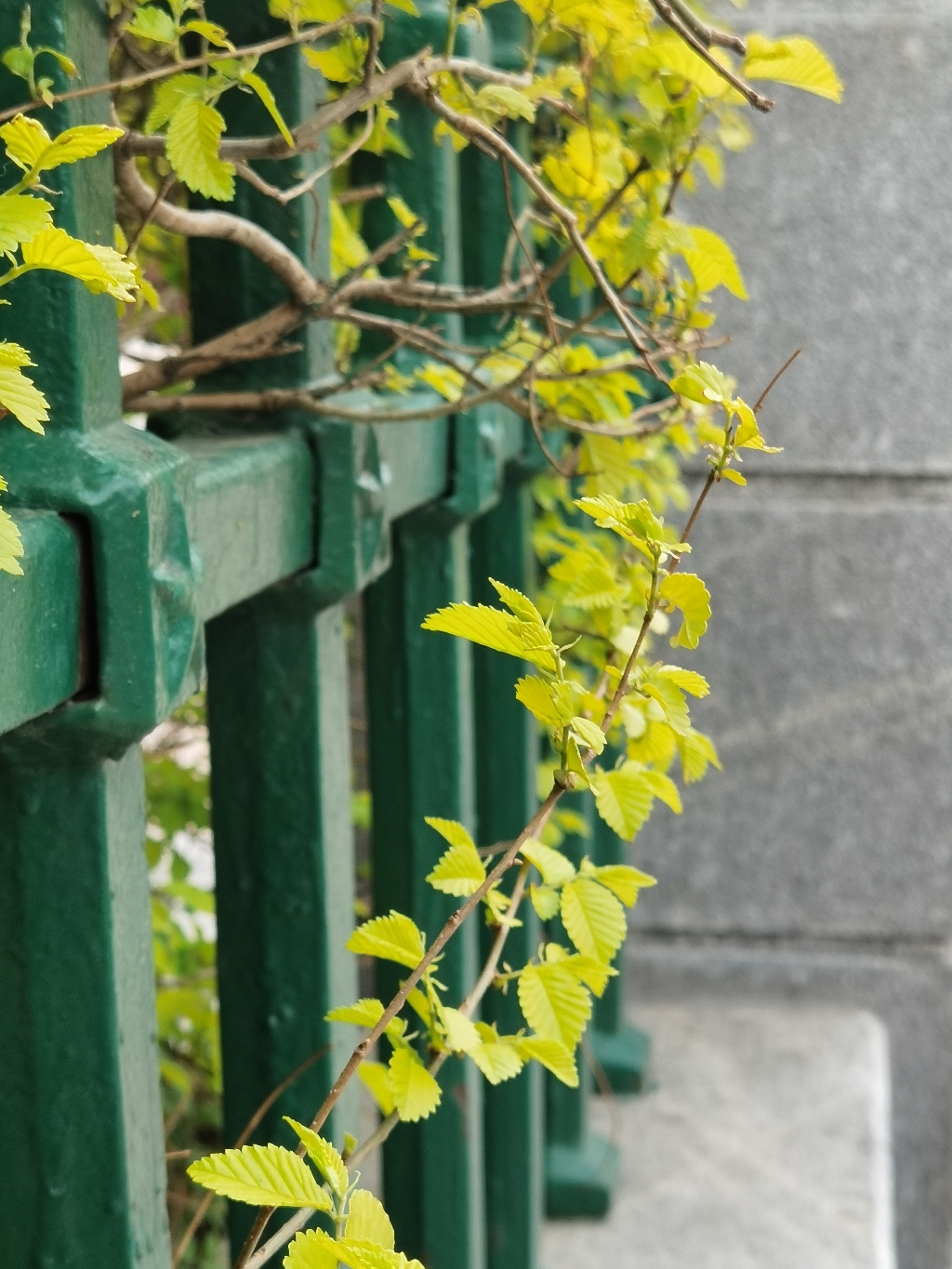 IMG_20210507_172544.jpg