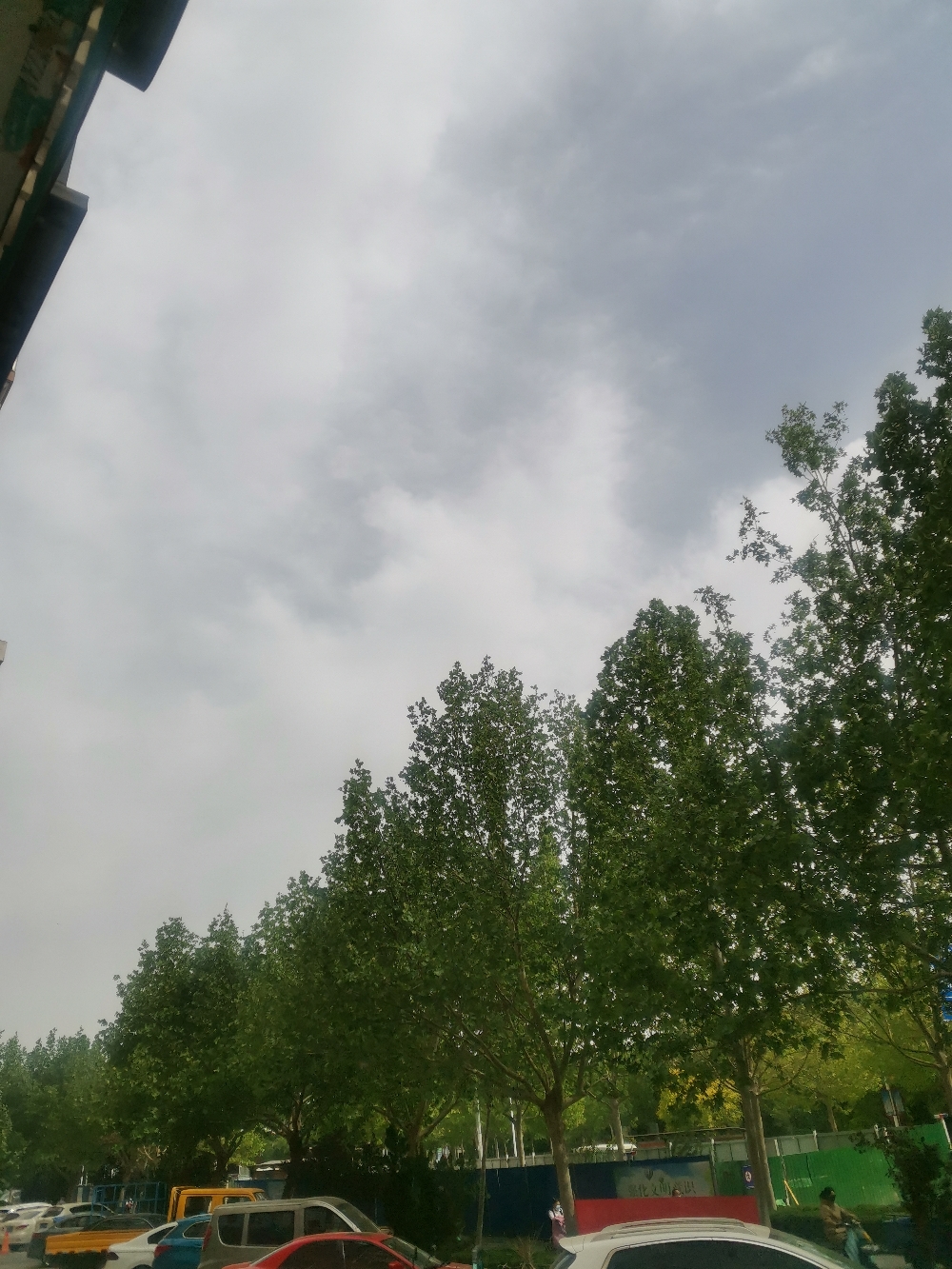 IMG_20210508_145935.jpg