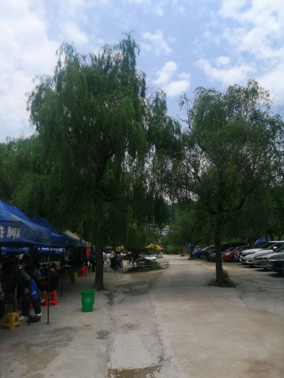 IMG_20210509_122458.jpg