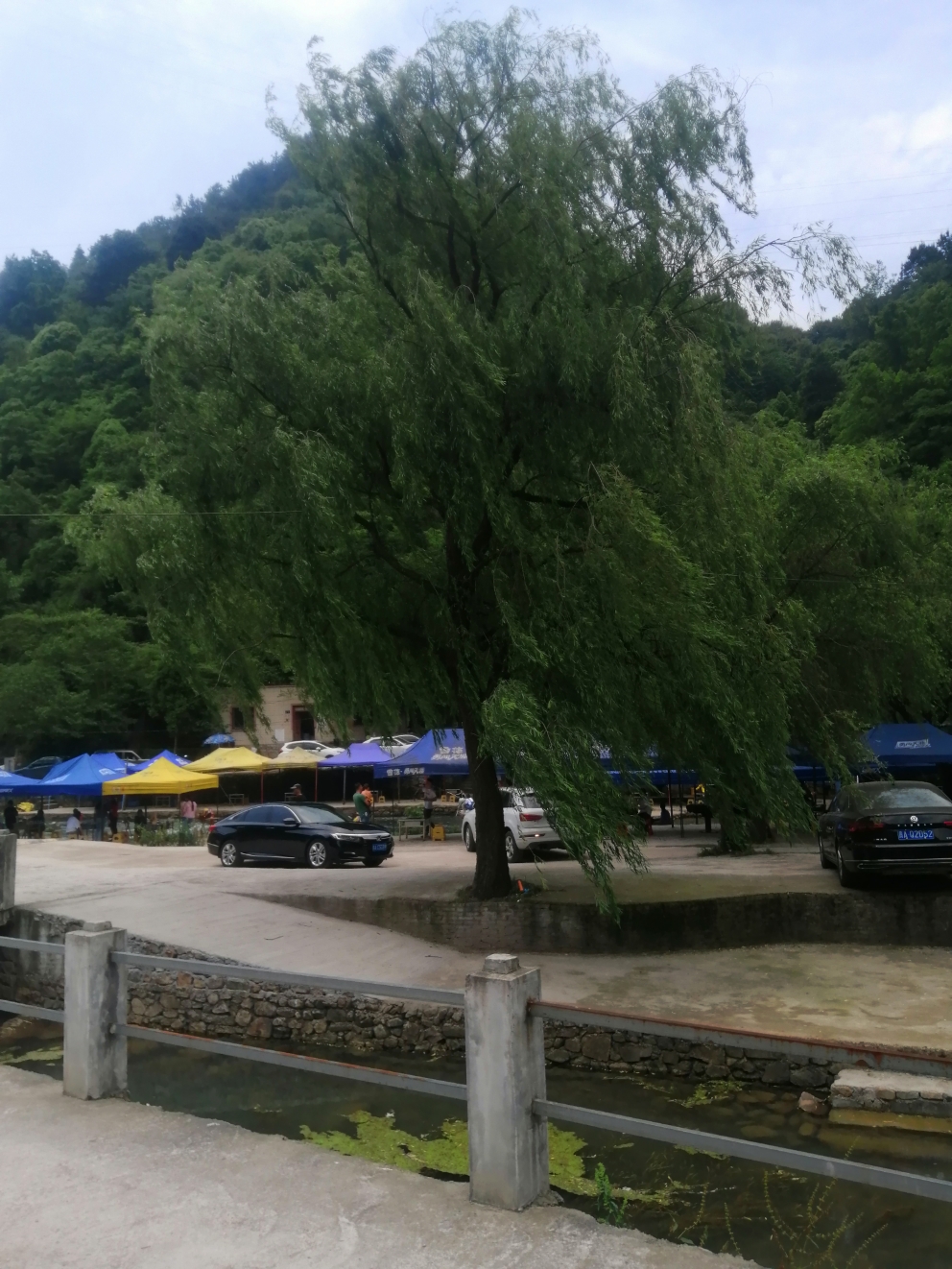 IMG_20210509_122344.jpg