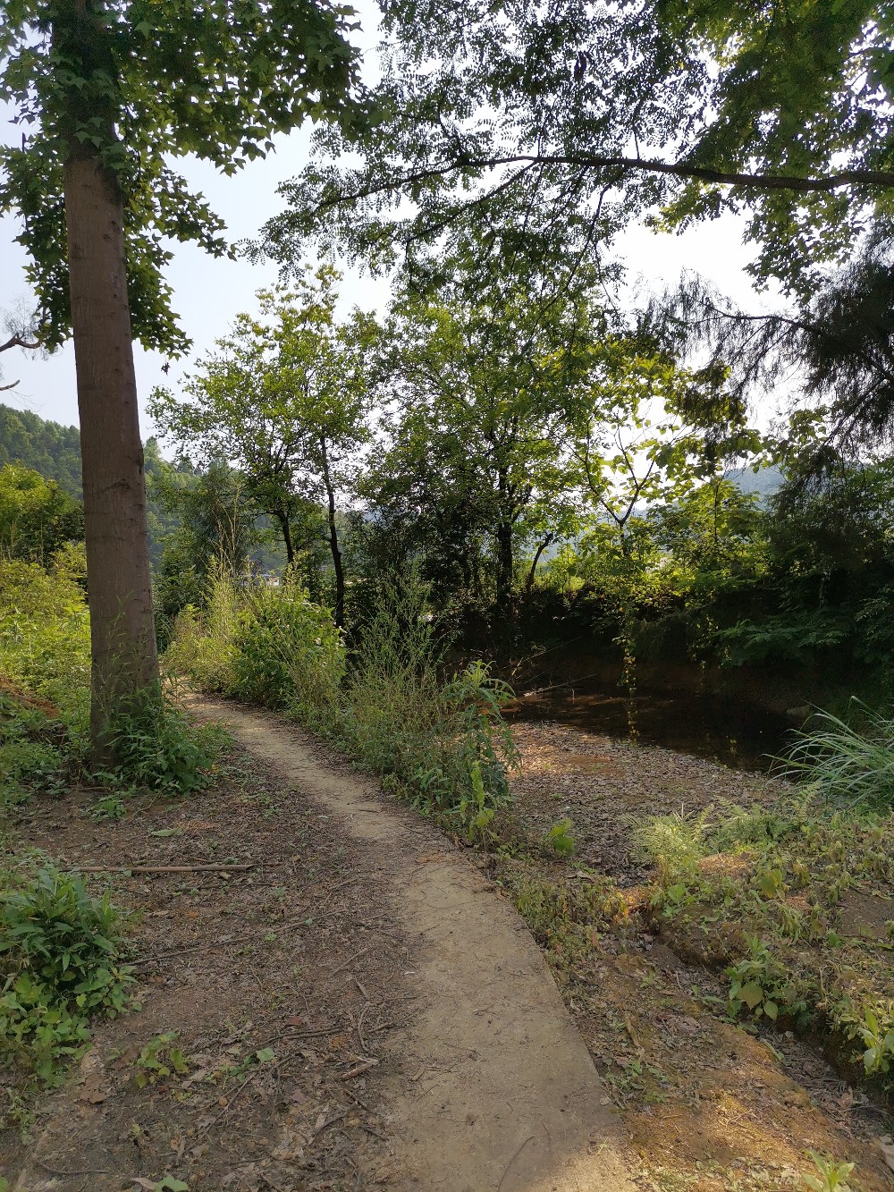 IMG_20210509_160408.jpg