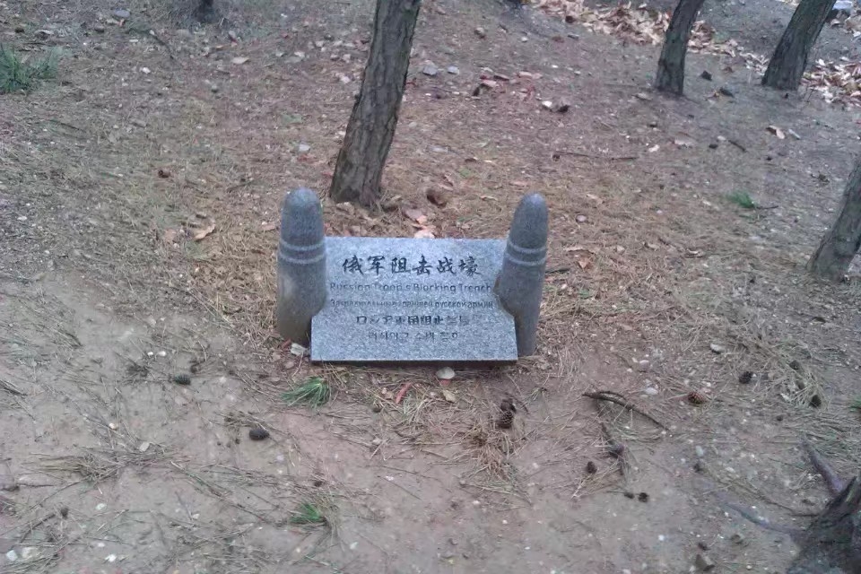 1620567330657.jpeg