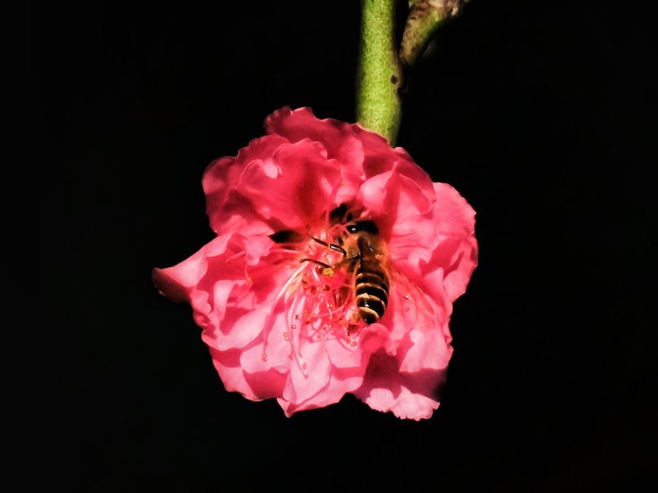 6D2AB538681EA6E3F215390C4EAE9F26_0.jpg