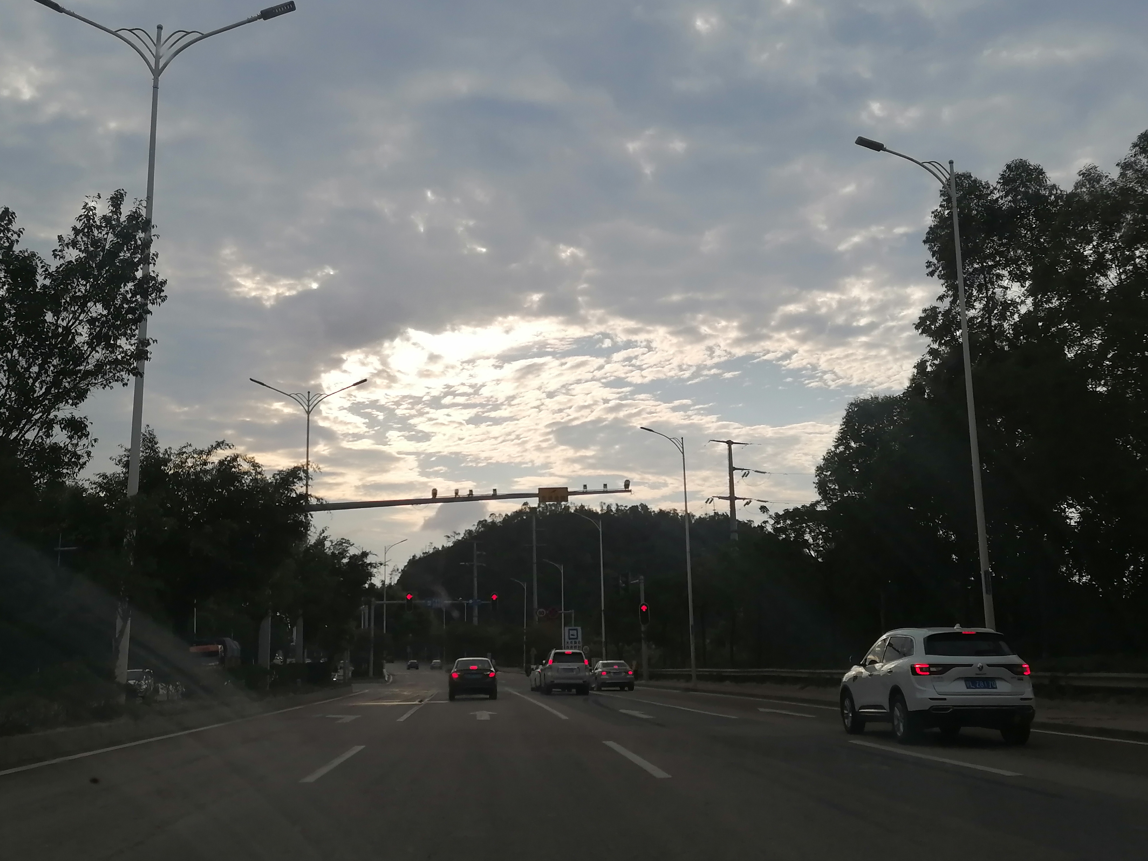 IMG_20210510_070222.jpg