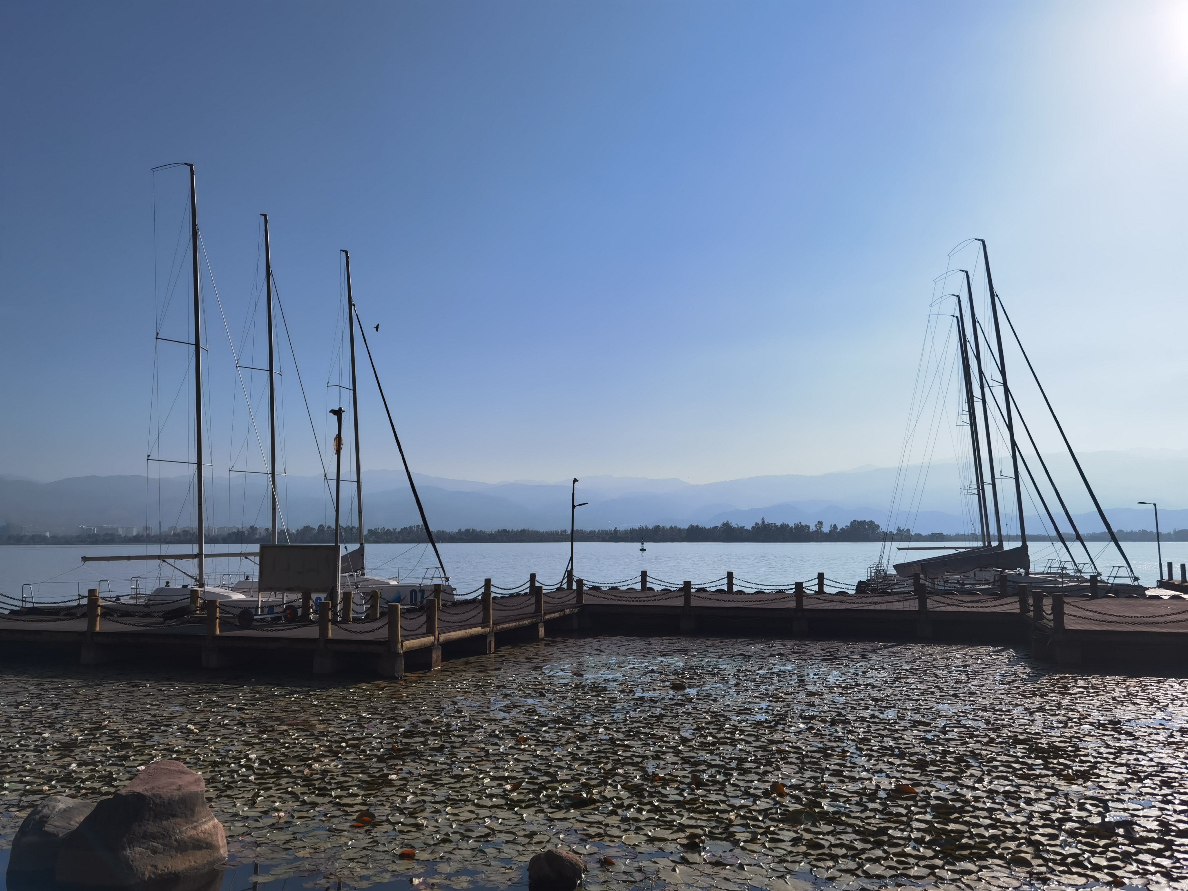 IMG_20210510_082719.jpg