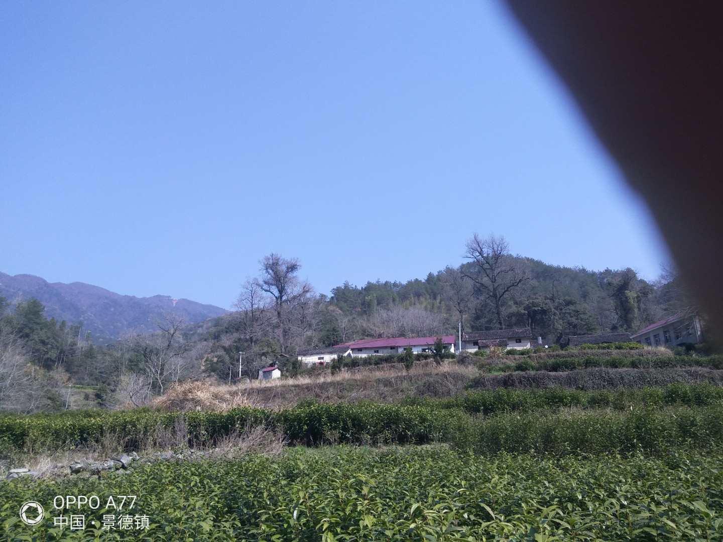 IMG20210223113319.jpg