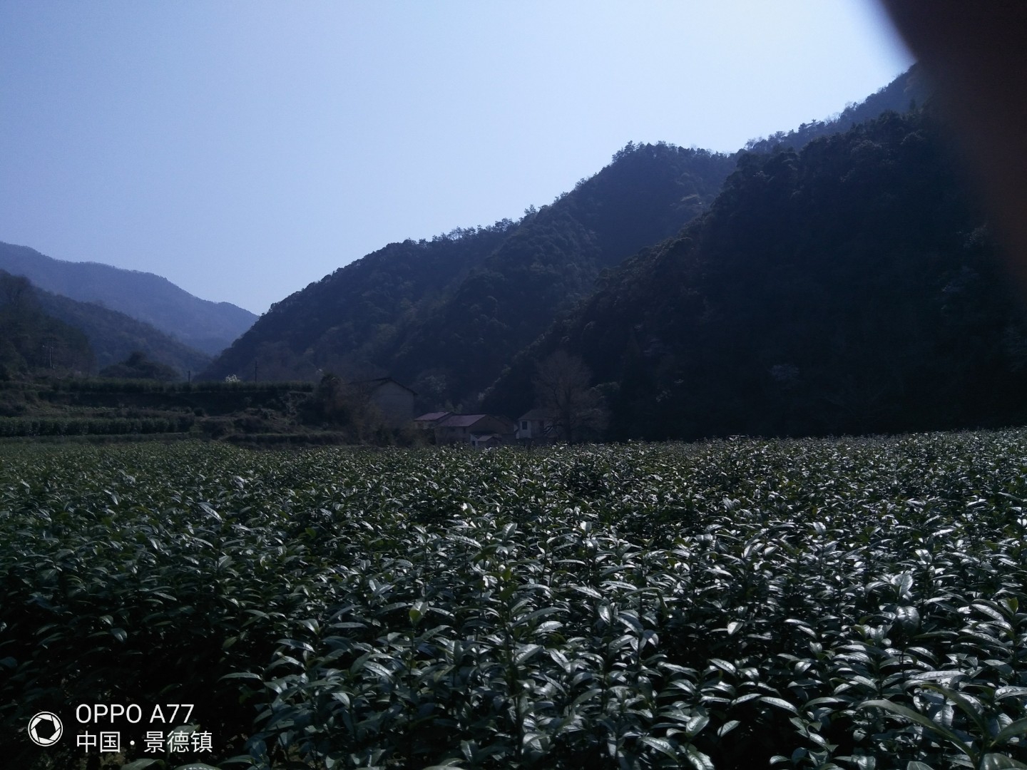 IMG20210223113326.jpg