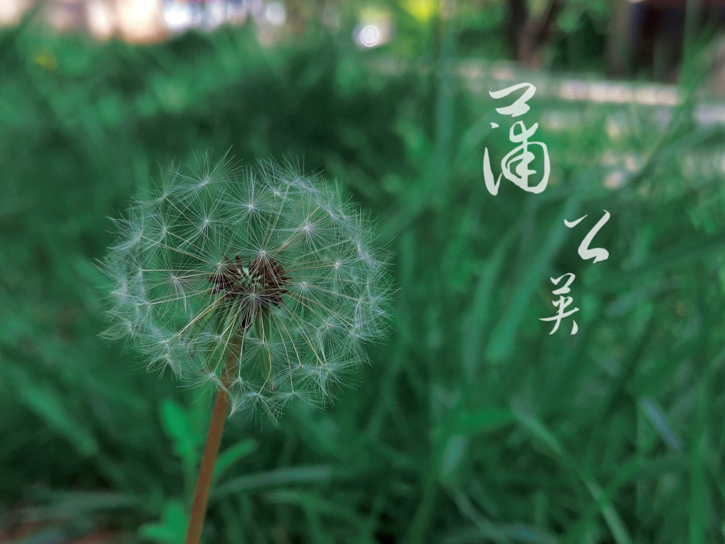 retouch_2021050508312794.jpg