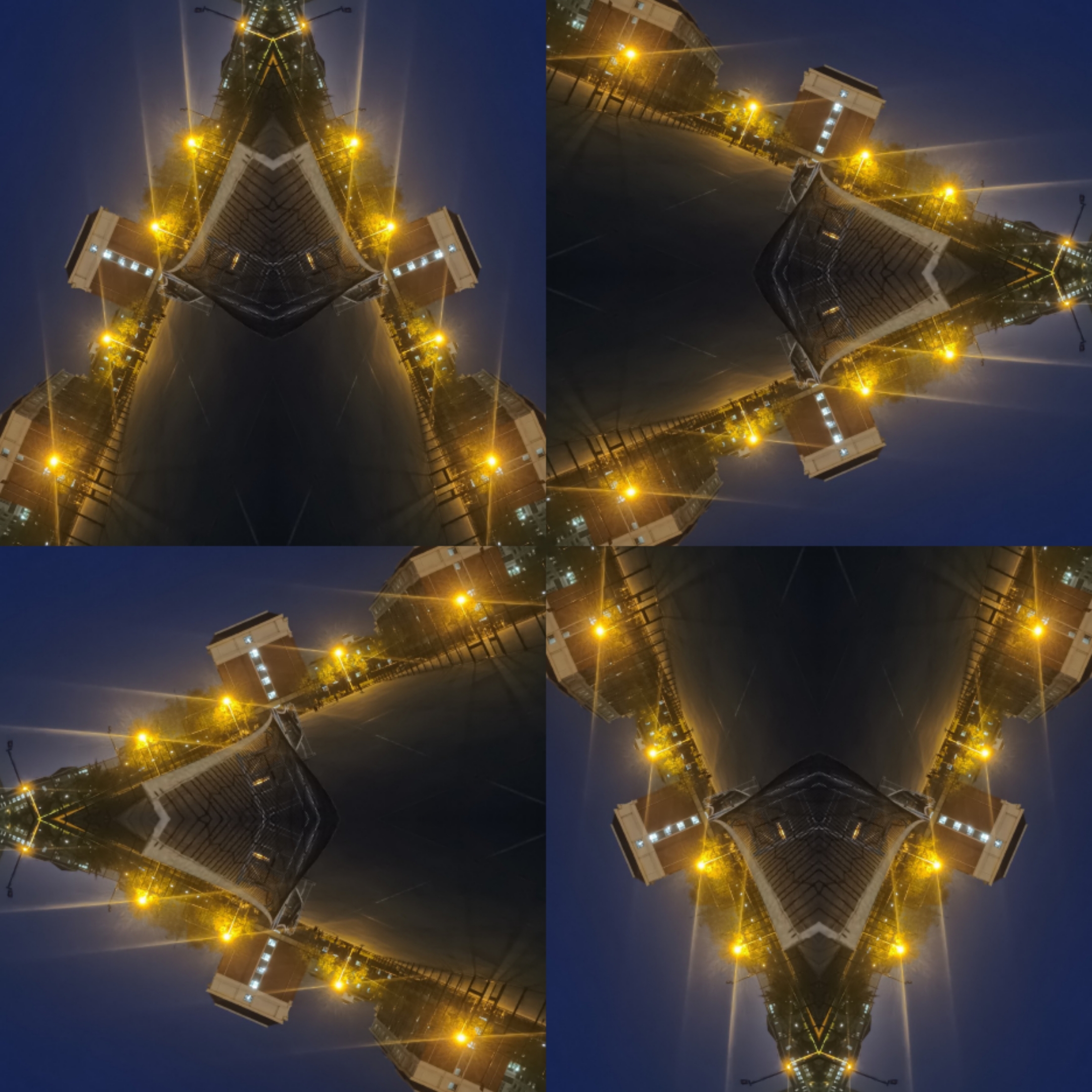 Collage_20210512_003655.jpg