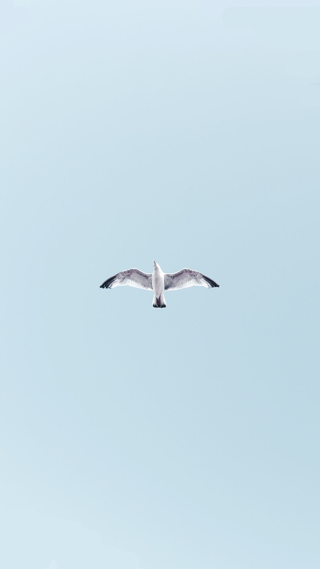 qk_wallpaper_2021512215936.jpg