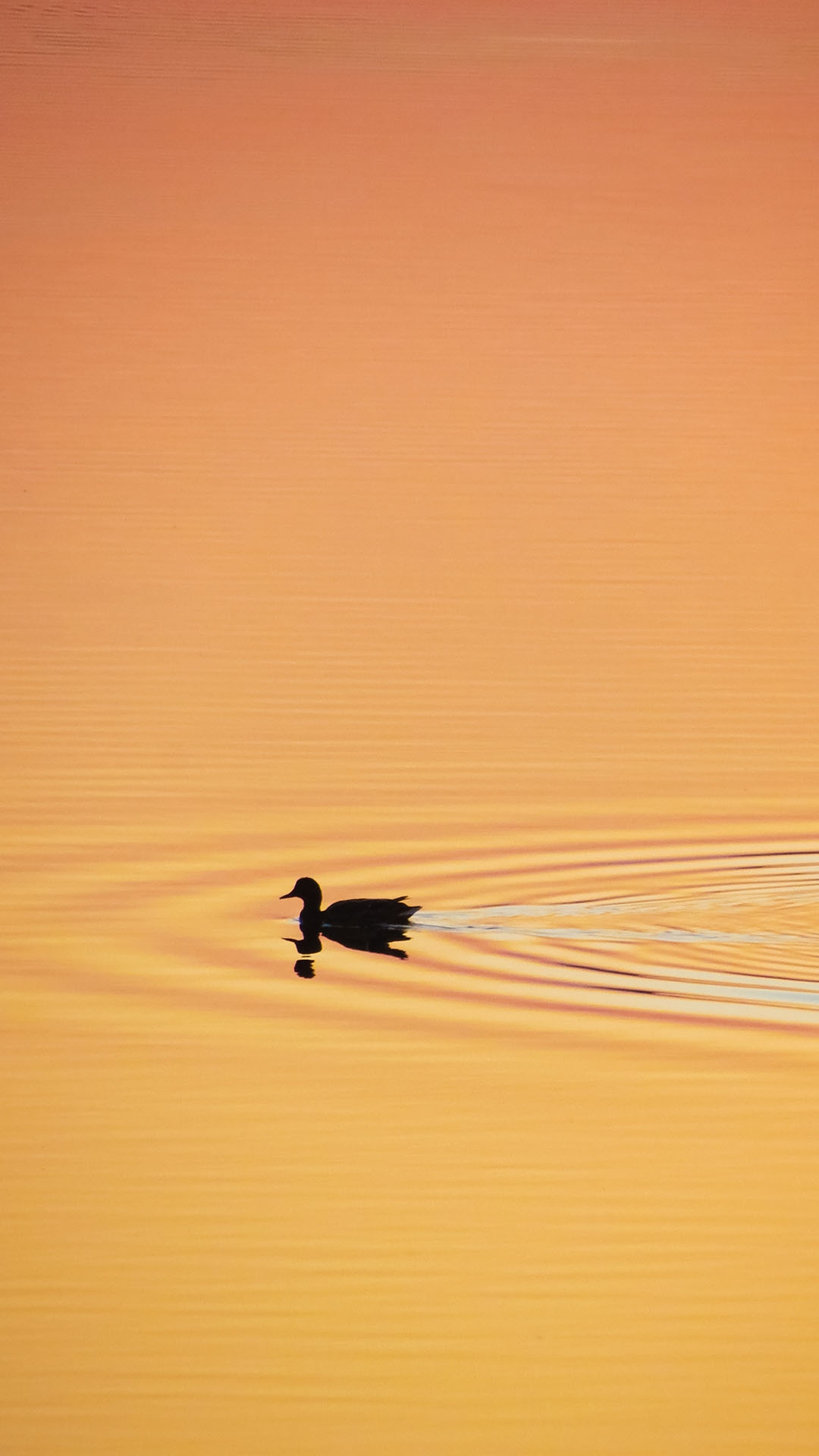 qk_wallpaper_2021512215938.jpg