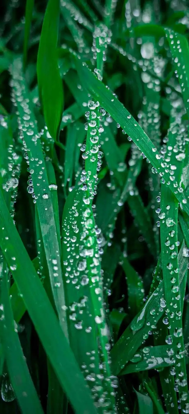 70aaadf6e6d535f13b52f5fa22dc350d.jpg