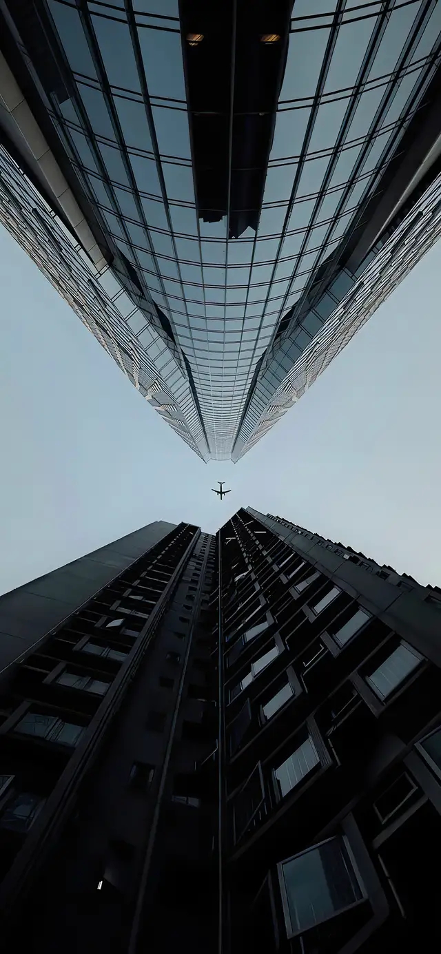 fe7e623108e821604657d393559e8022.jpg