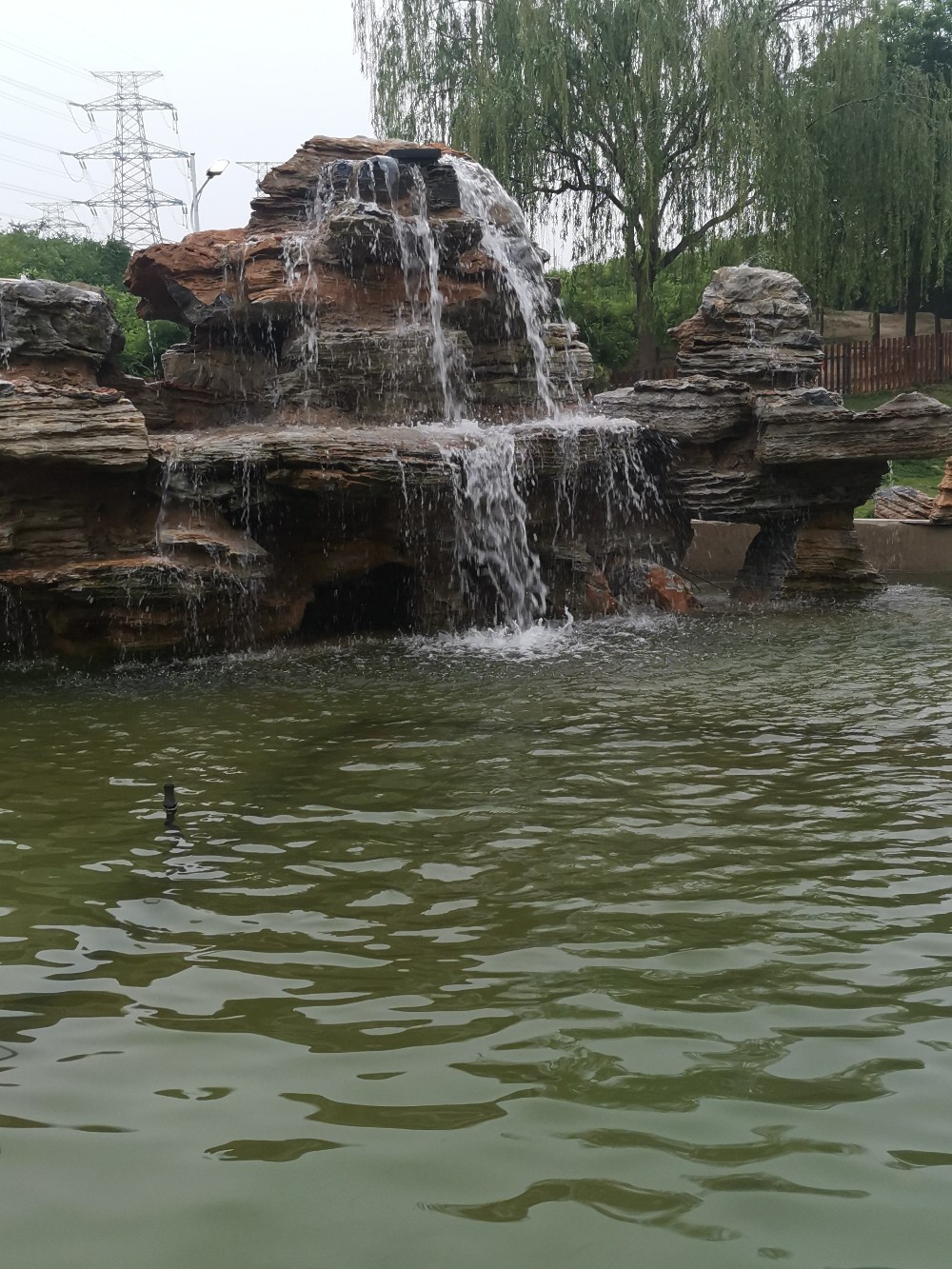IMG_20210513_060148.jpg