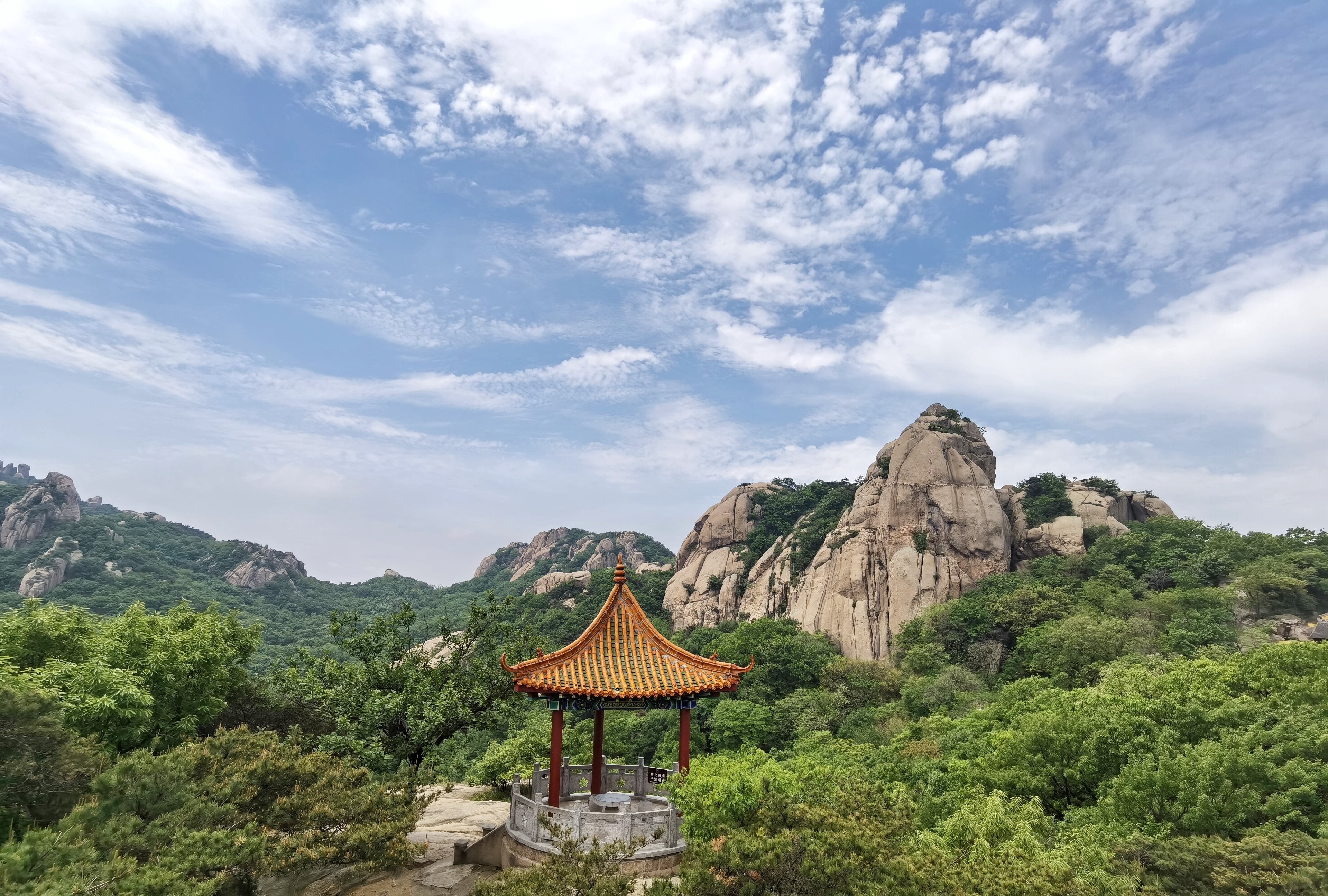 IMG_20210513_110833-01.jpeg