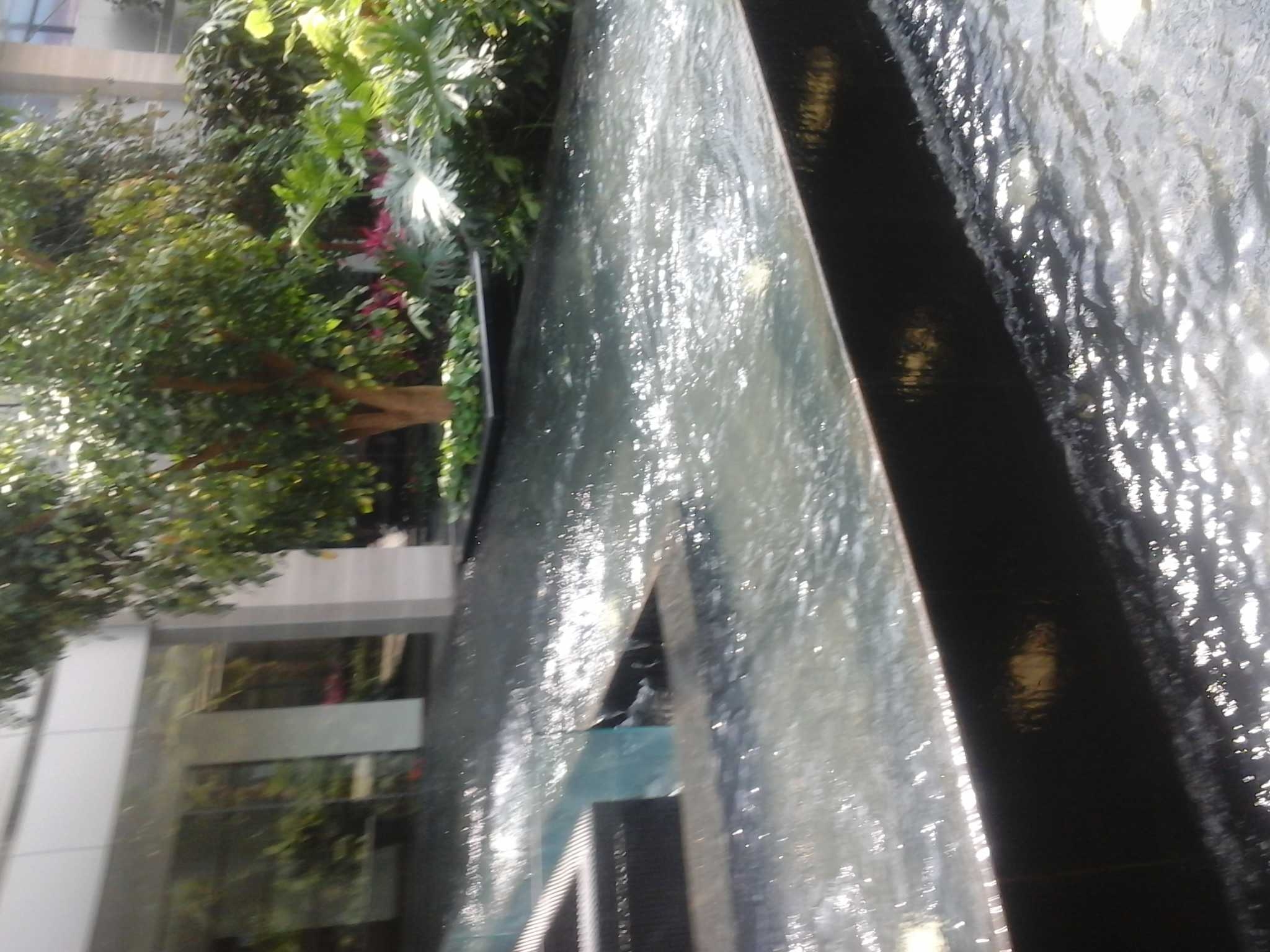20160430_112418.jpg