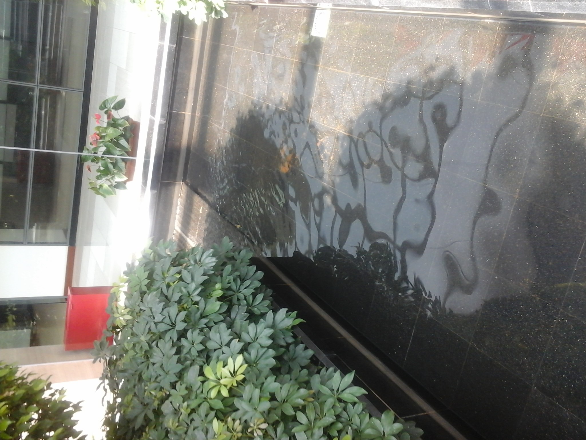 20160430_112255.jpg