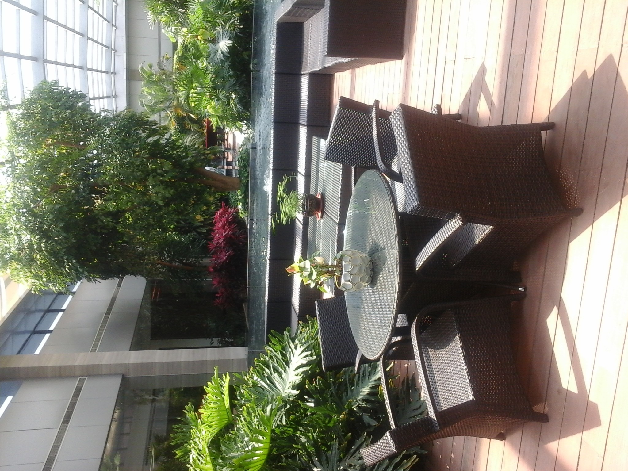 20160430_112355.jpg