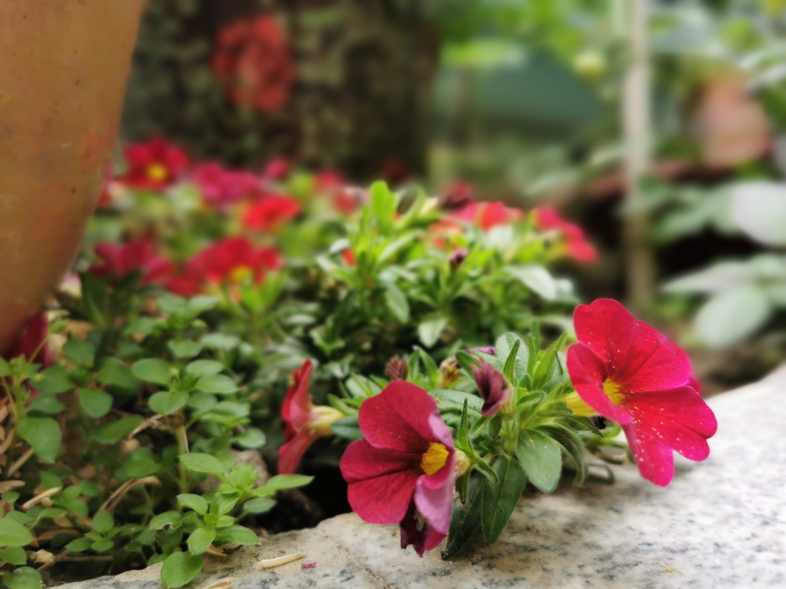 IMG_20210507_120133.jpg