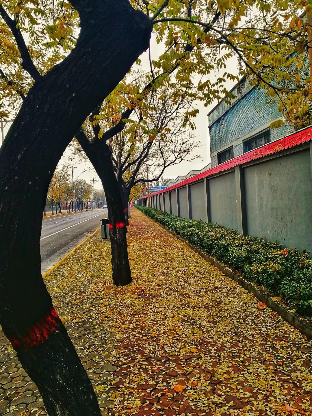 152646npjgyznjhbnhykwq.jpg