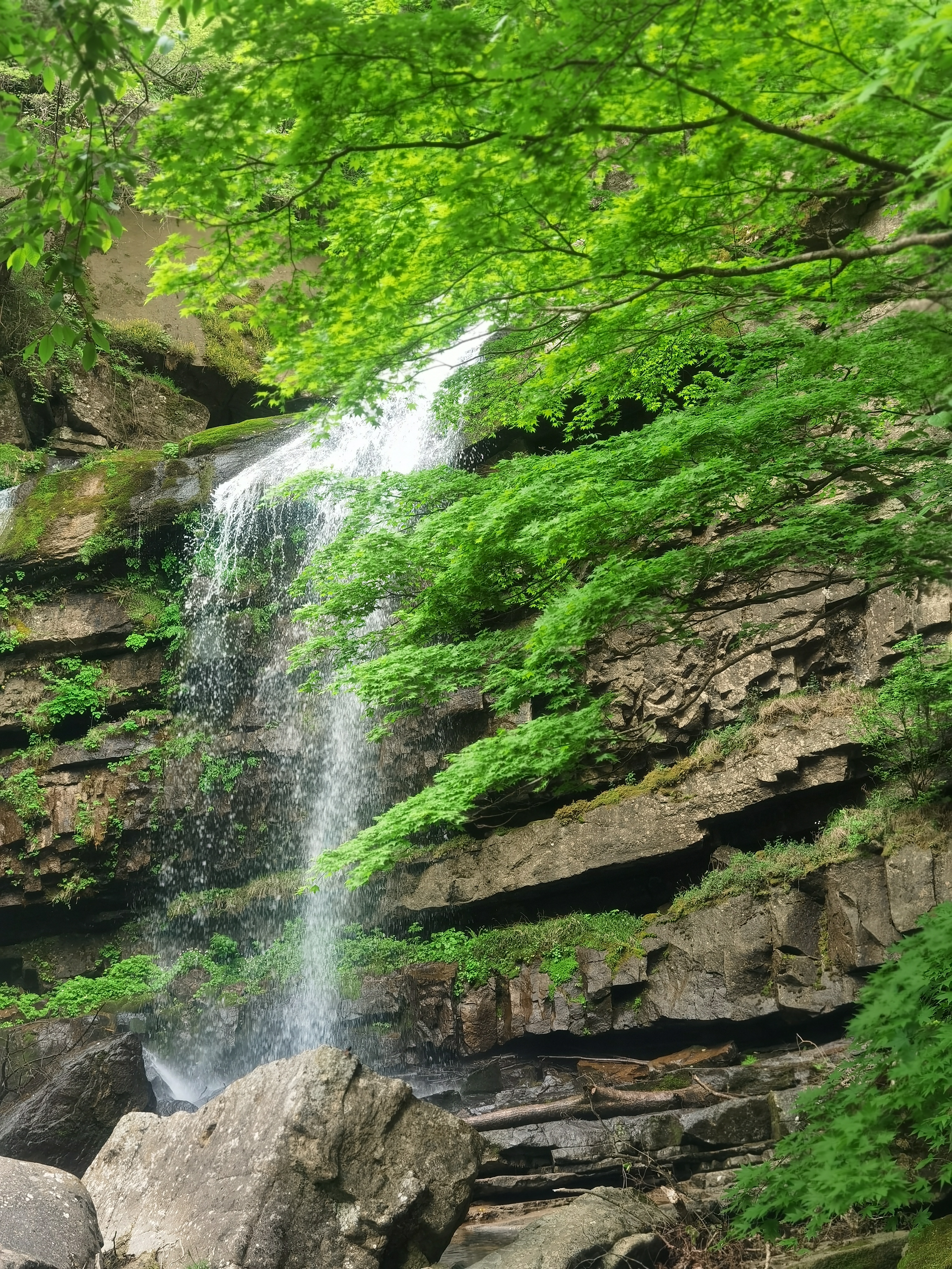 IMG_20210502_135220.jpg