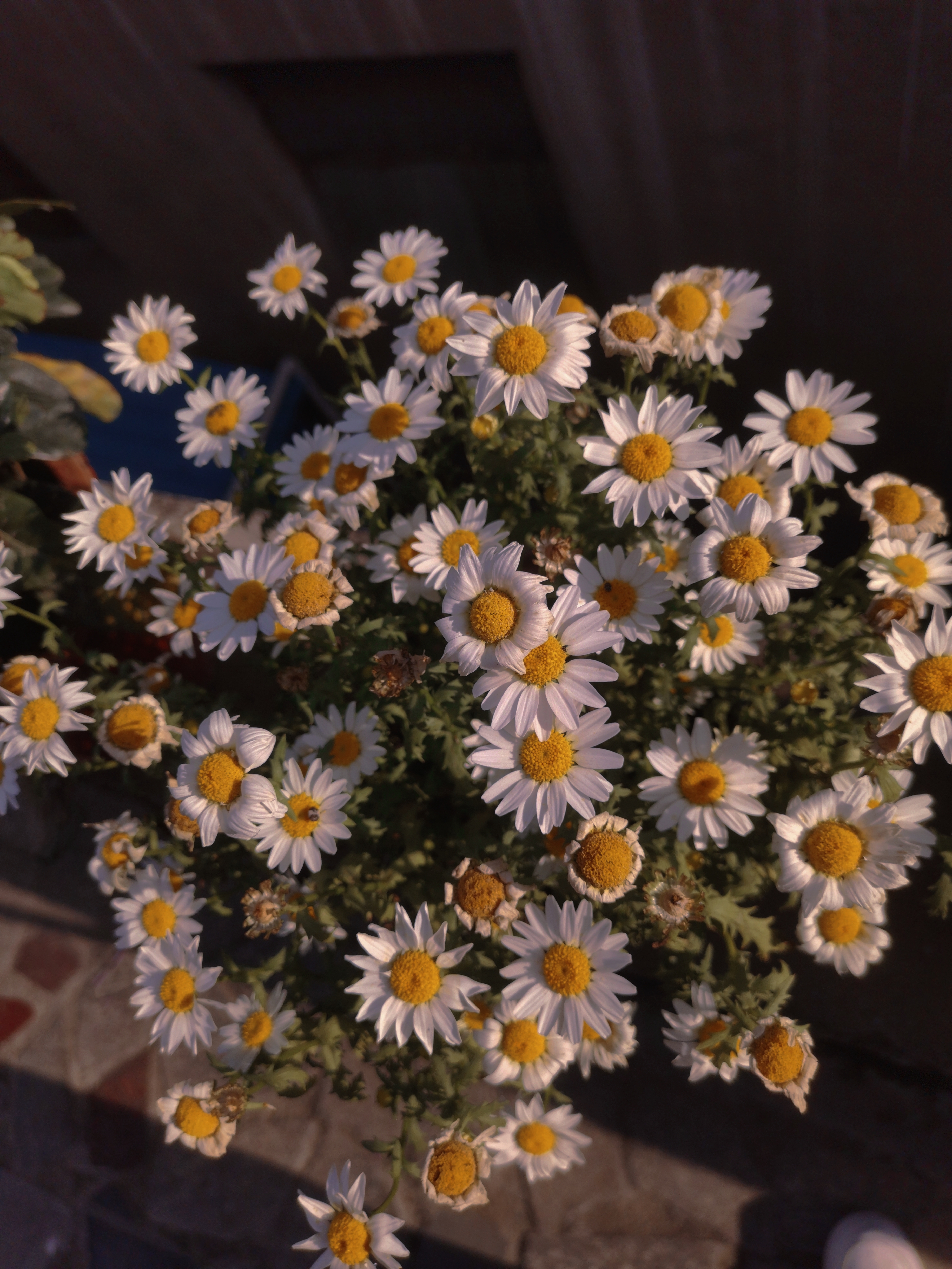 retouch_20210427181526.jpg
