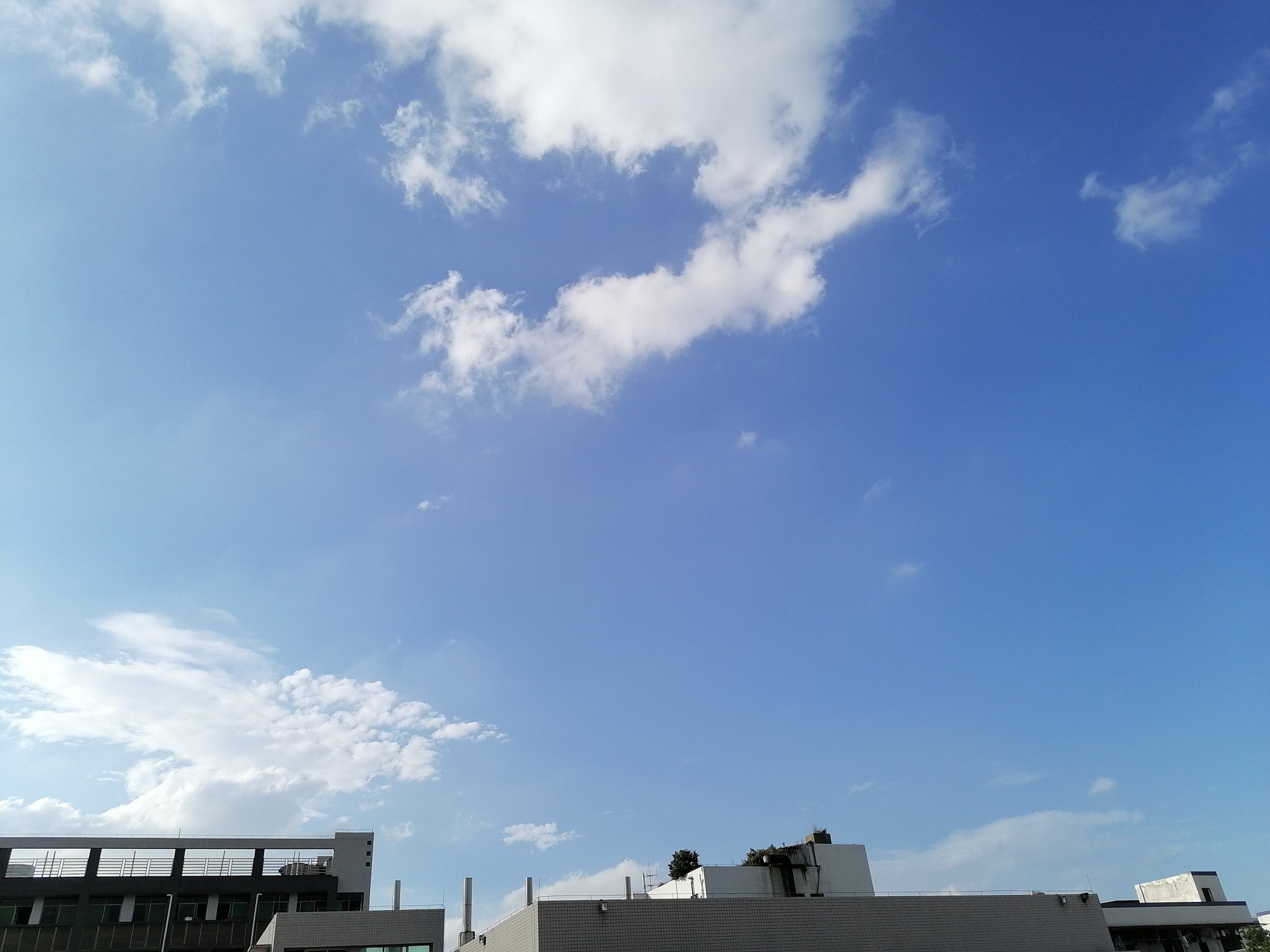 IMG_20210510_171451.jpg