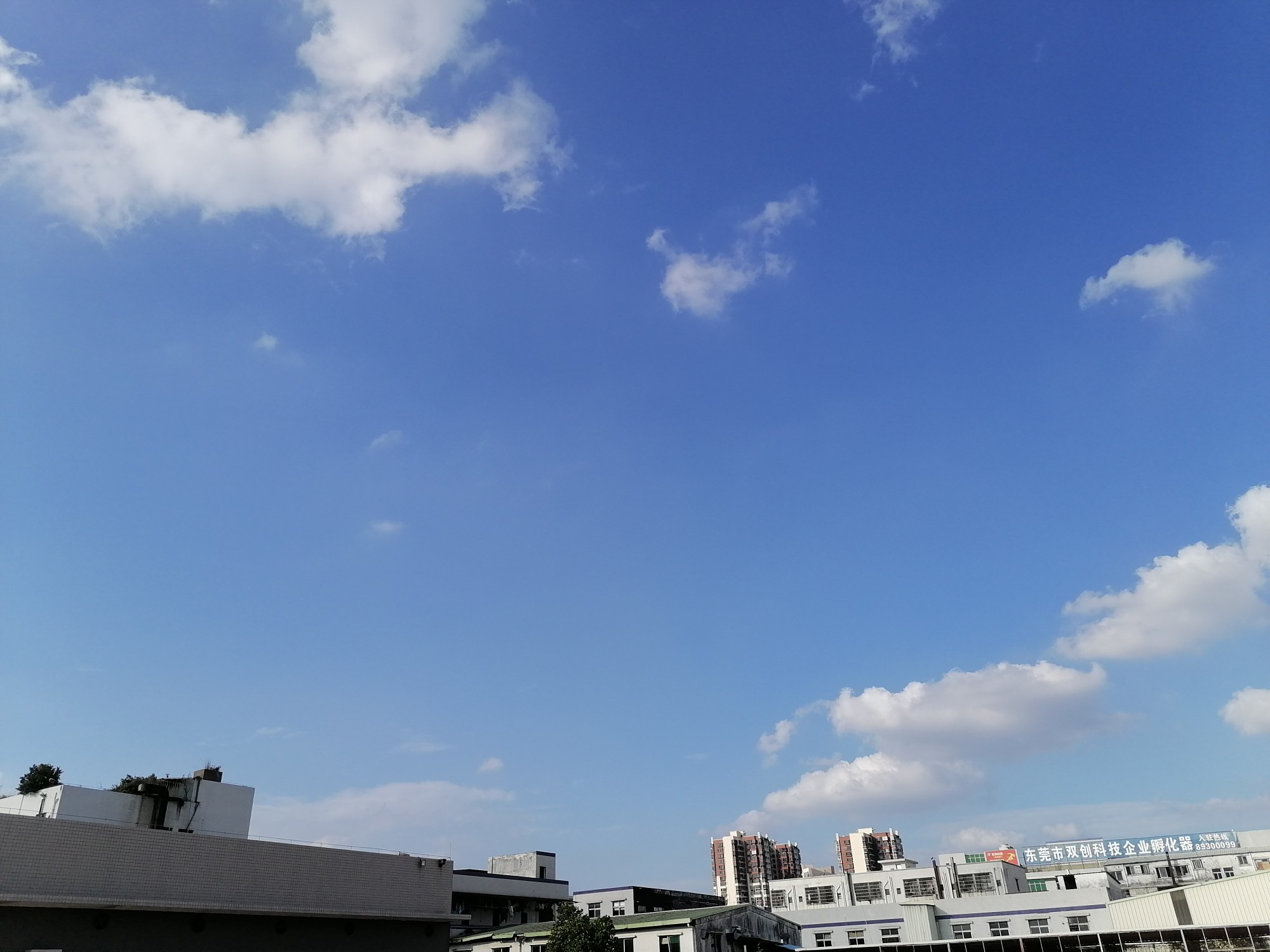 IMG_20210510_171442.jpg