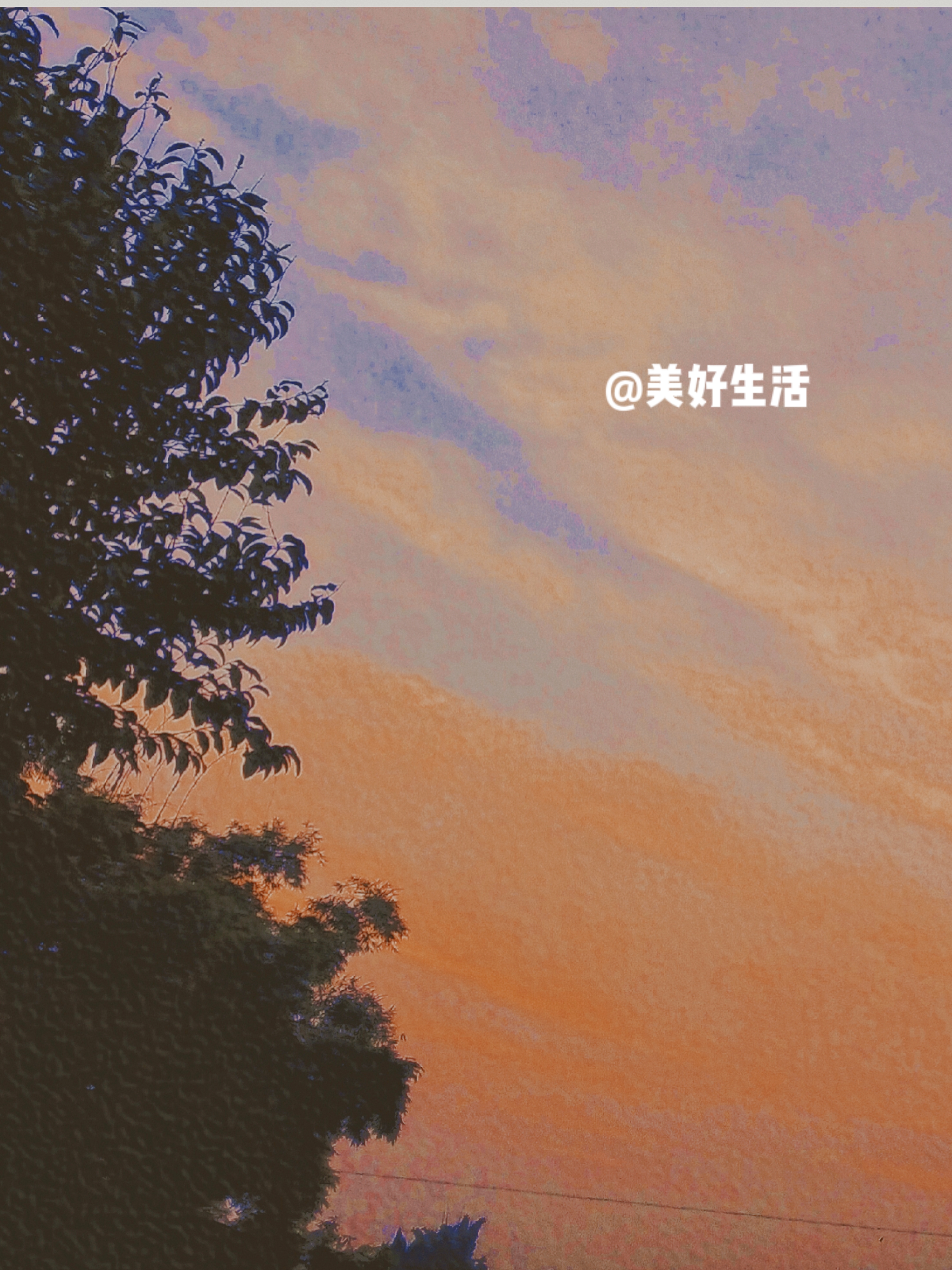 retouch_2021042822564057.jpg